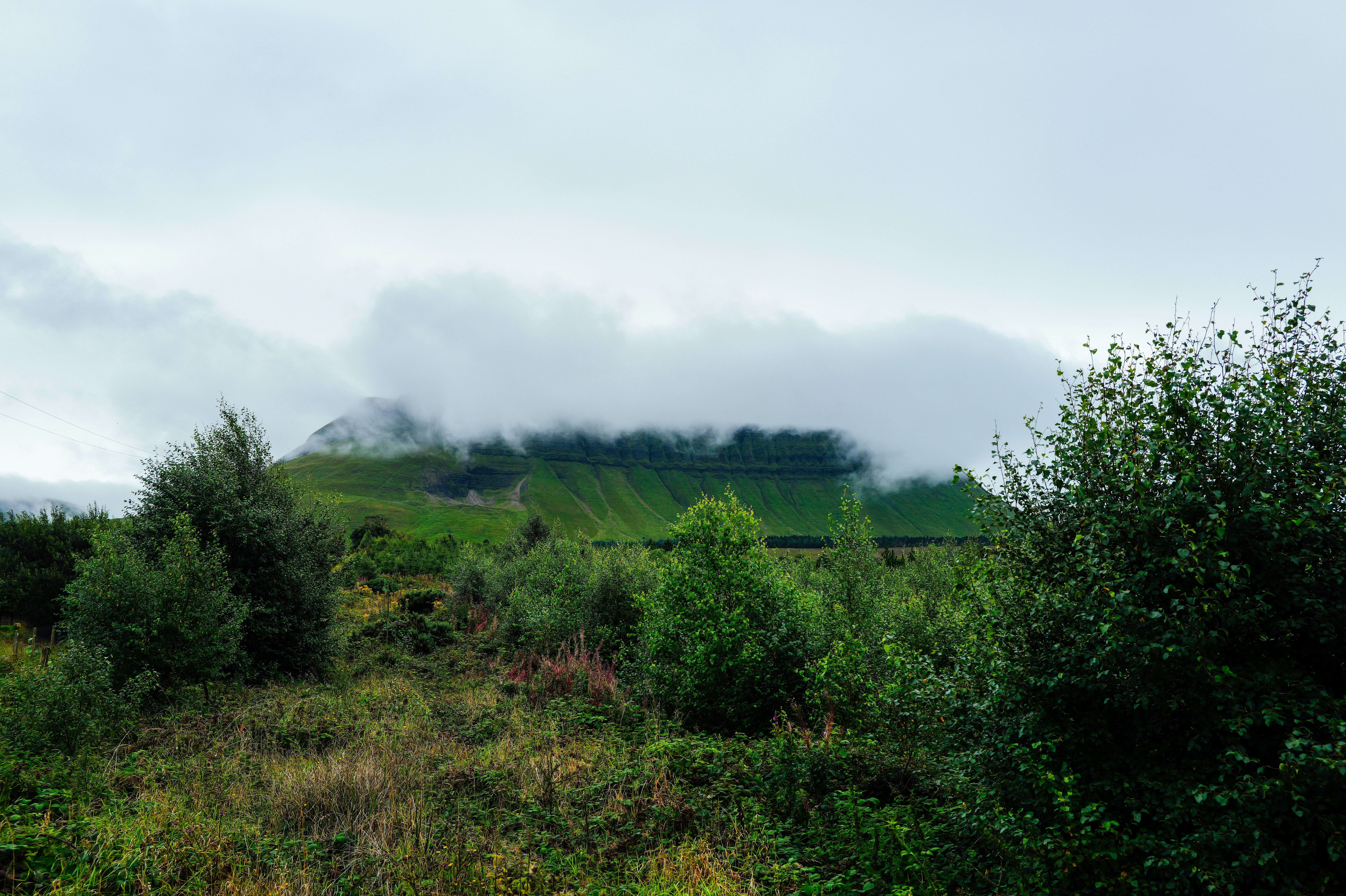 Photo by adrienolichon