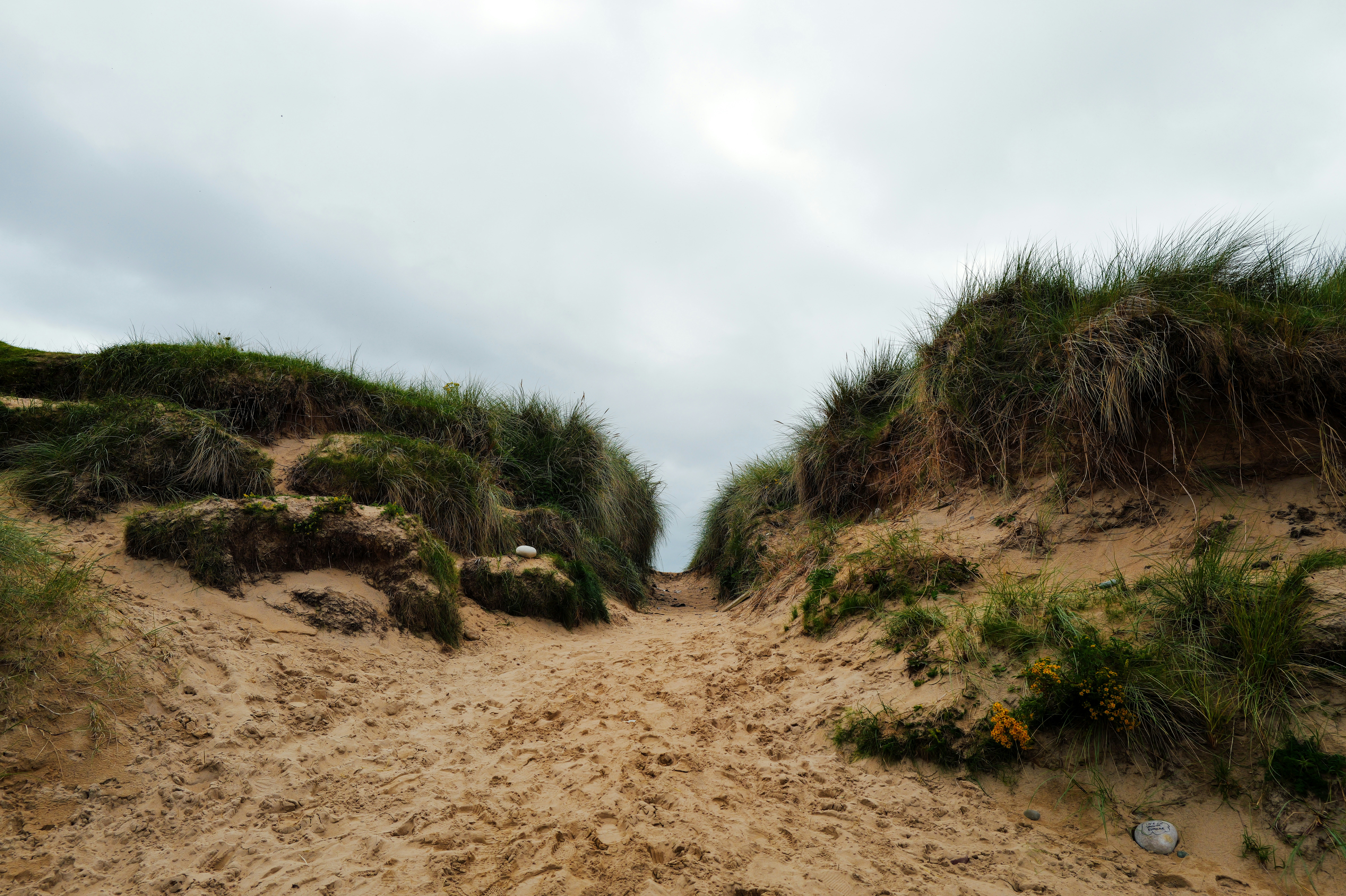 Photo by adrienolichon