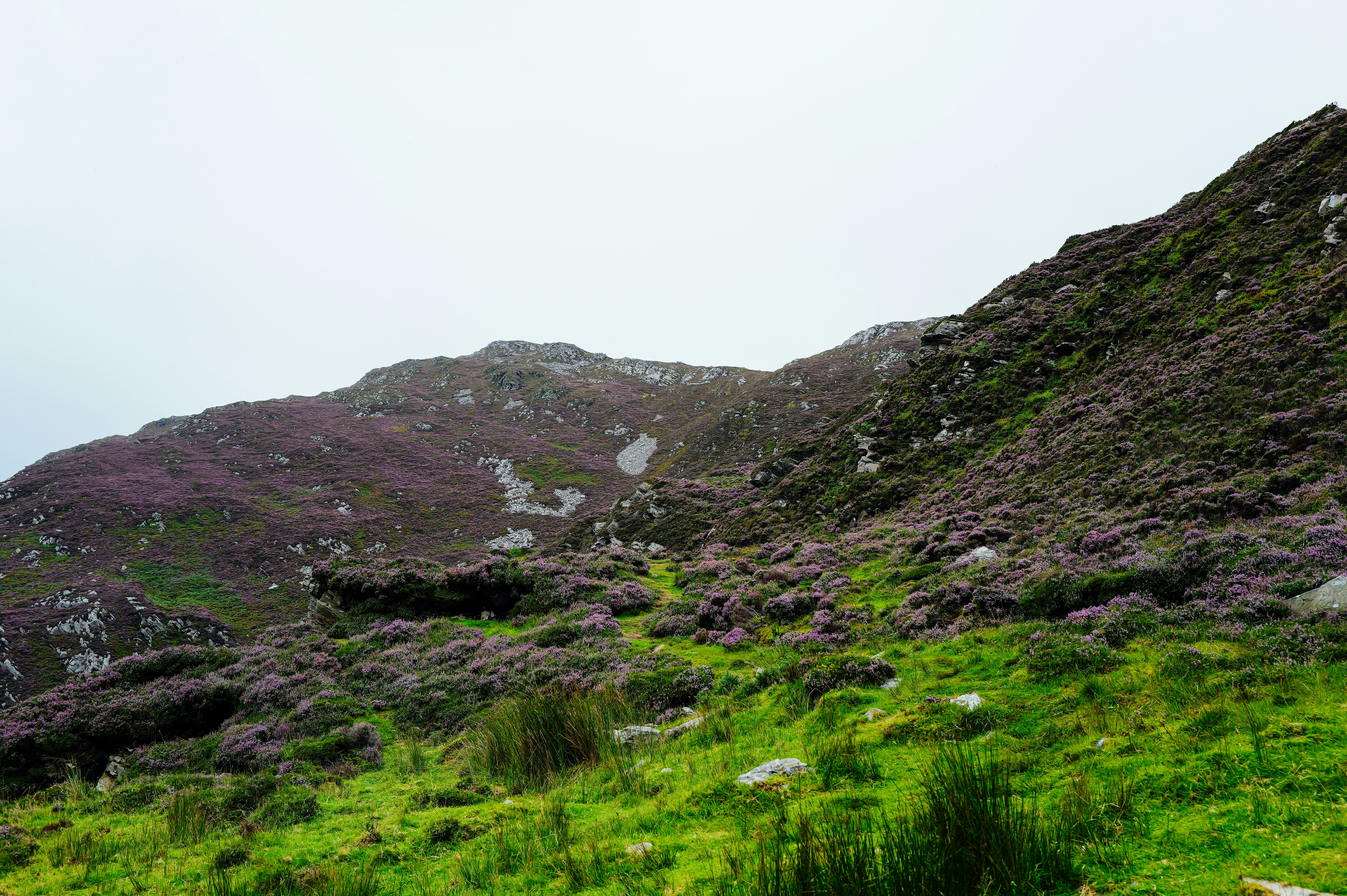 Photo by adrienolichon