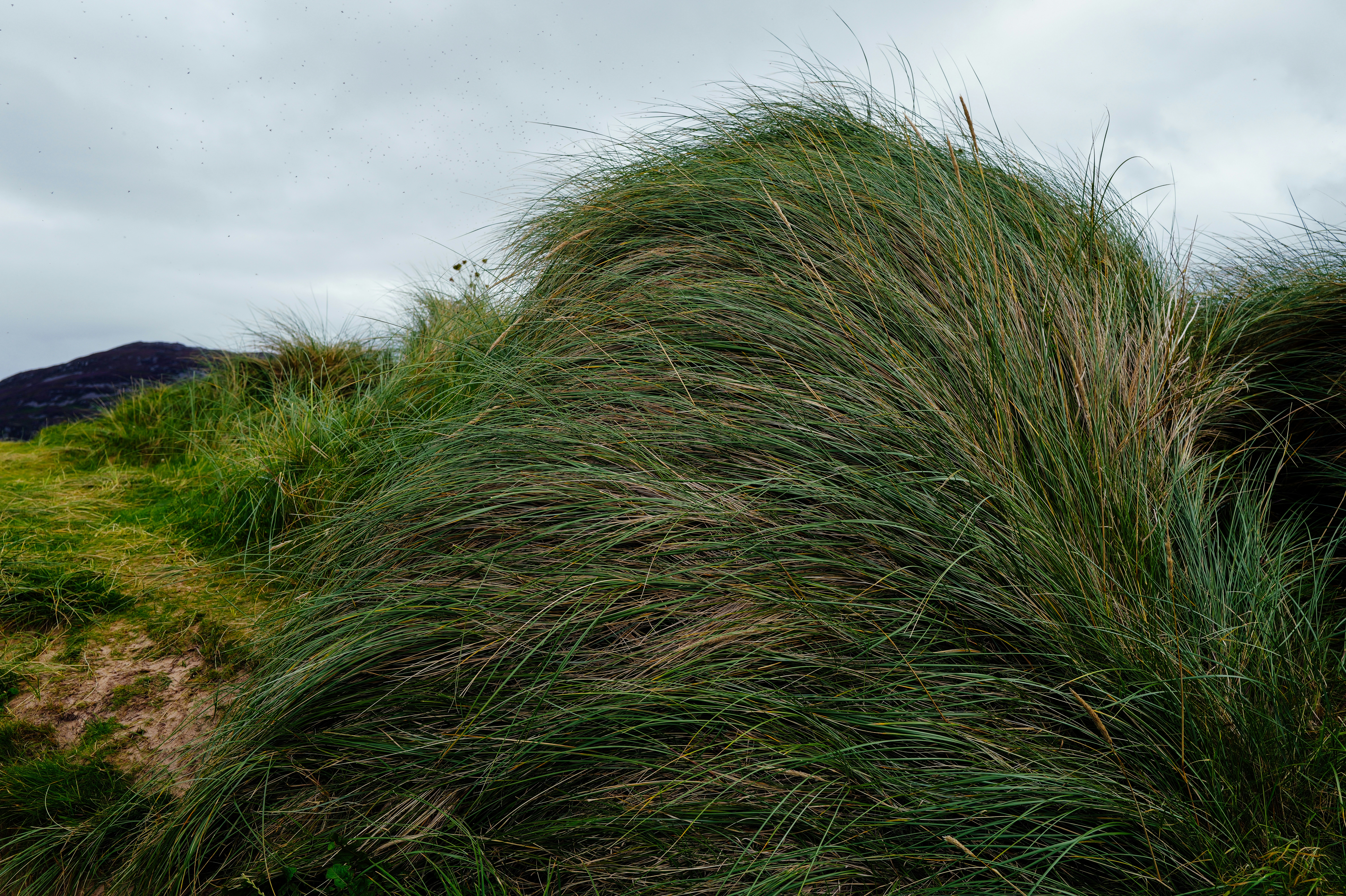 Photo by adrienolichon