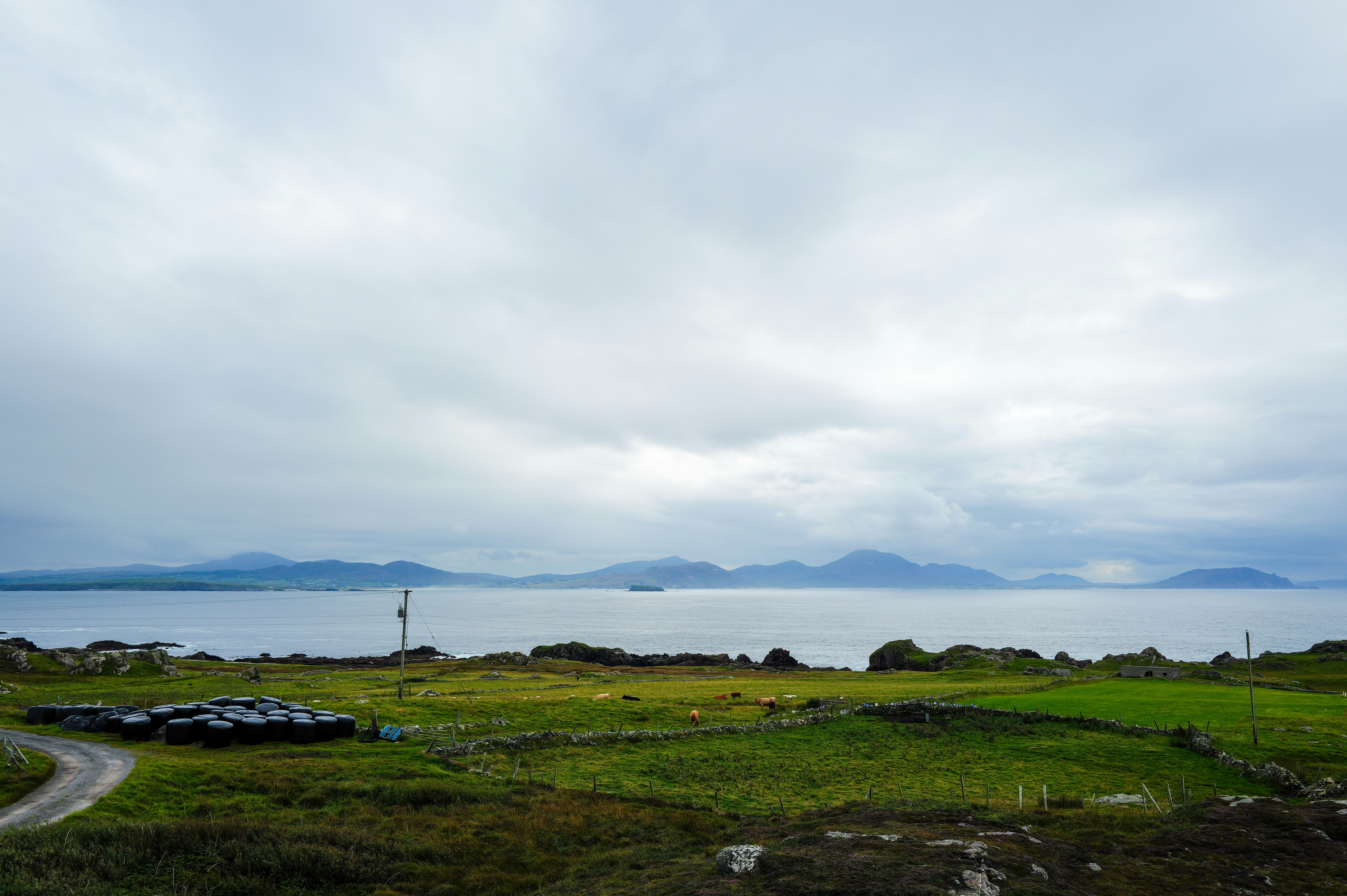 Photo by adrienolichon