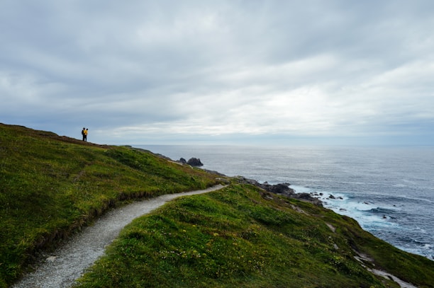 A winding path along a grassy coastline overlooking the ocean.
