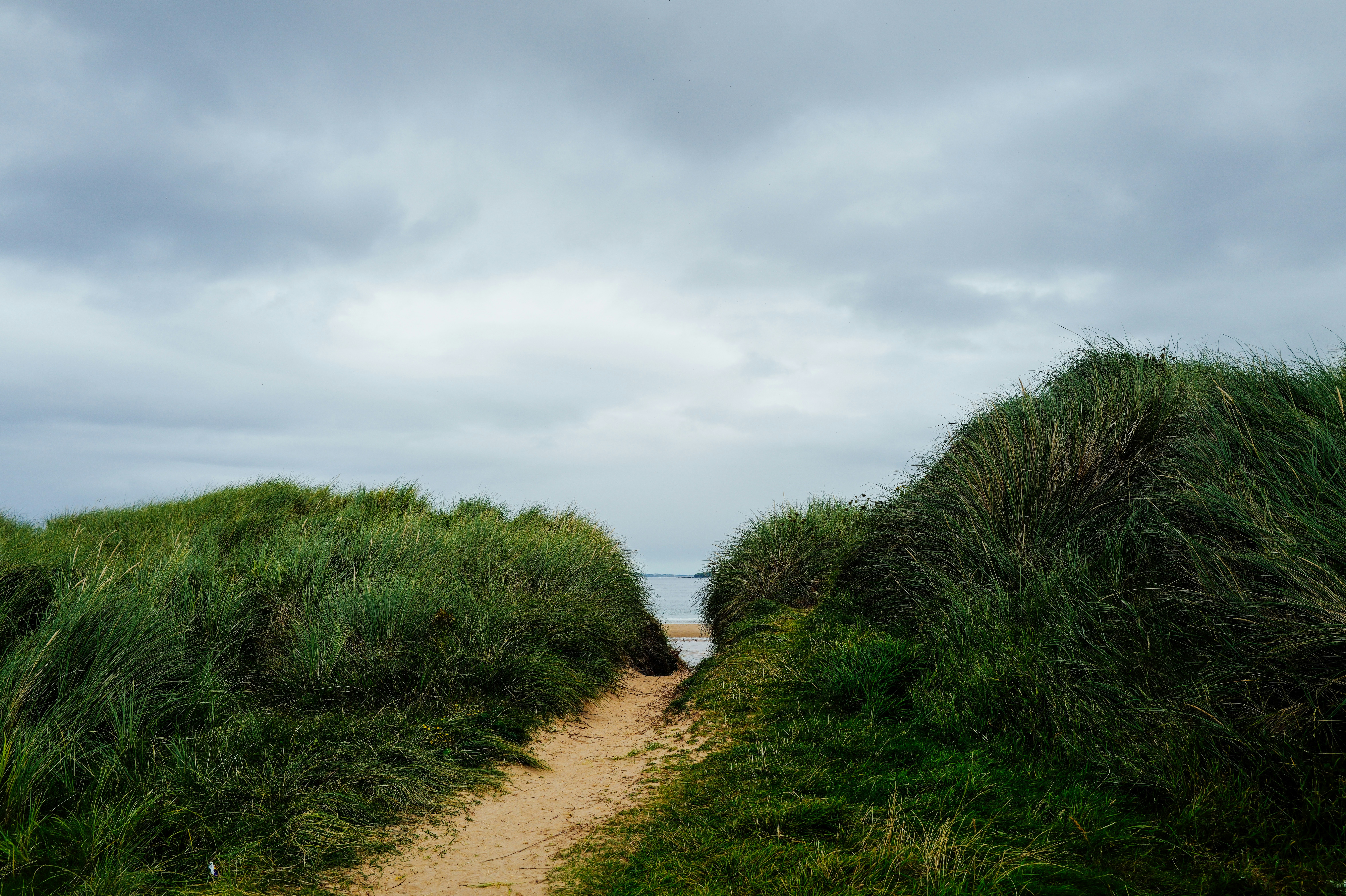 Photo by adrienolichon