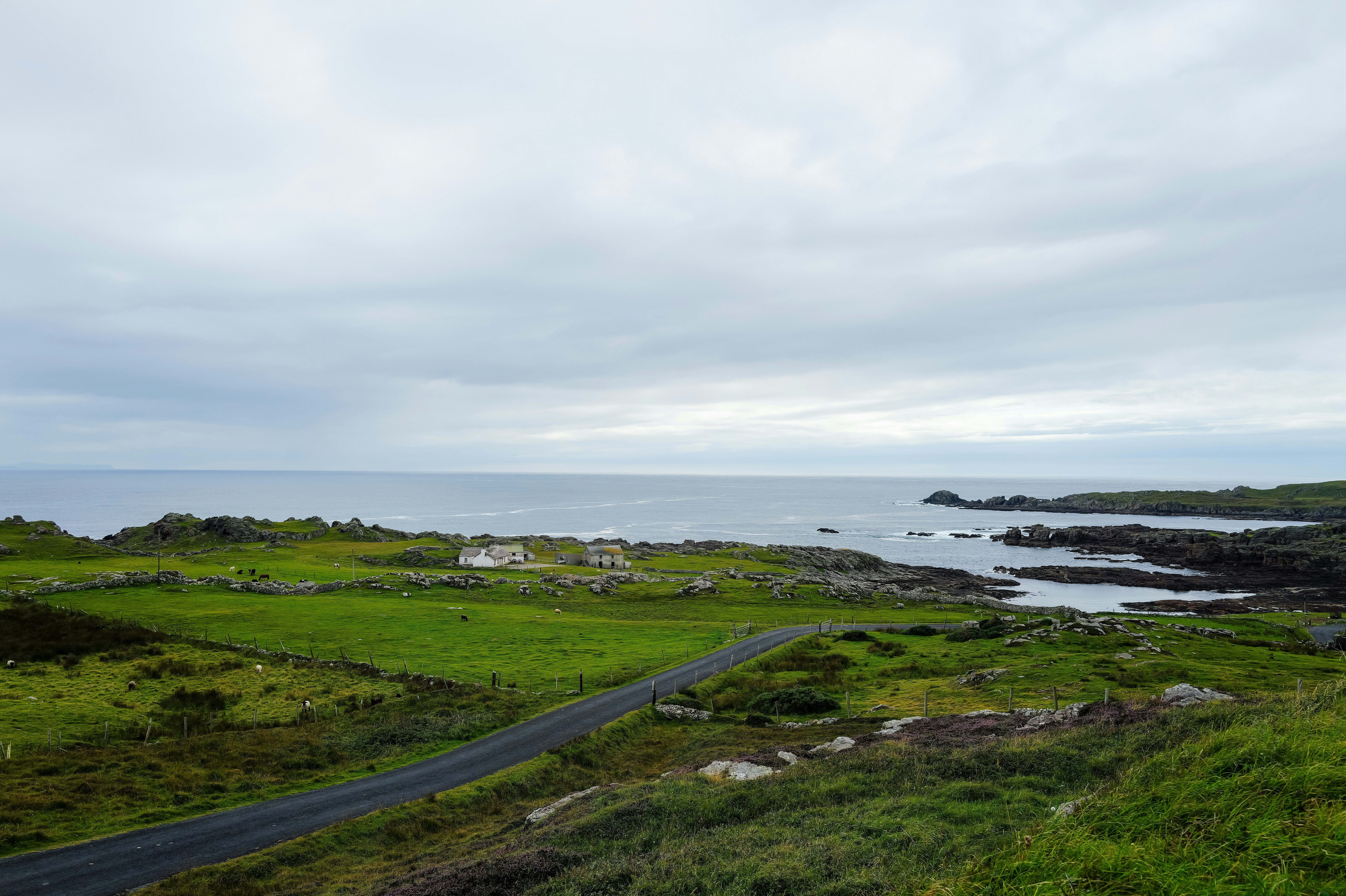 Photo by adrienolichon