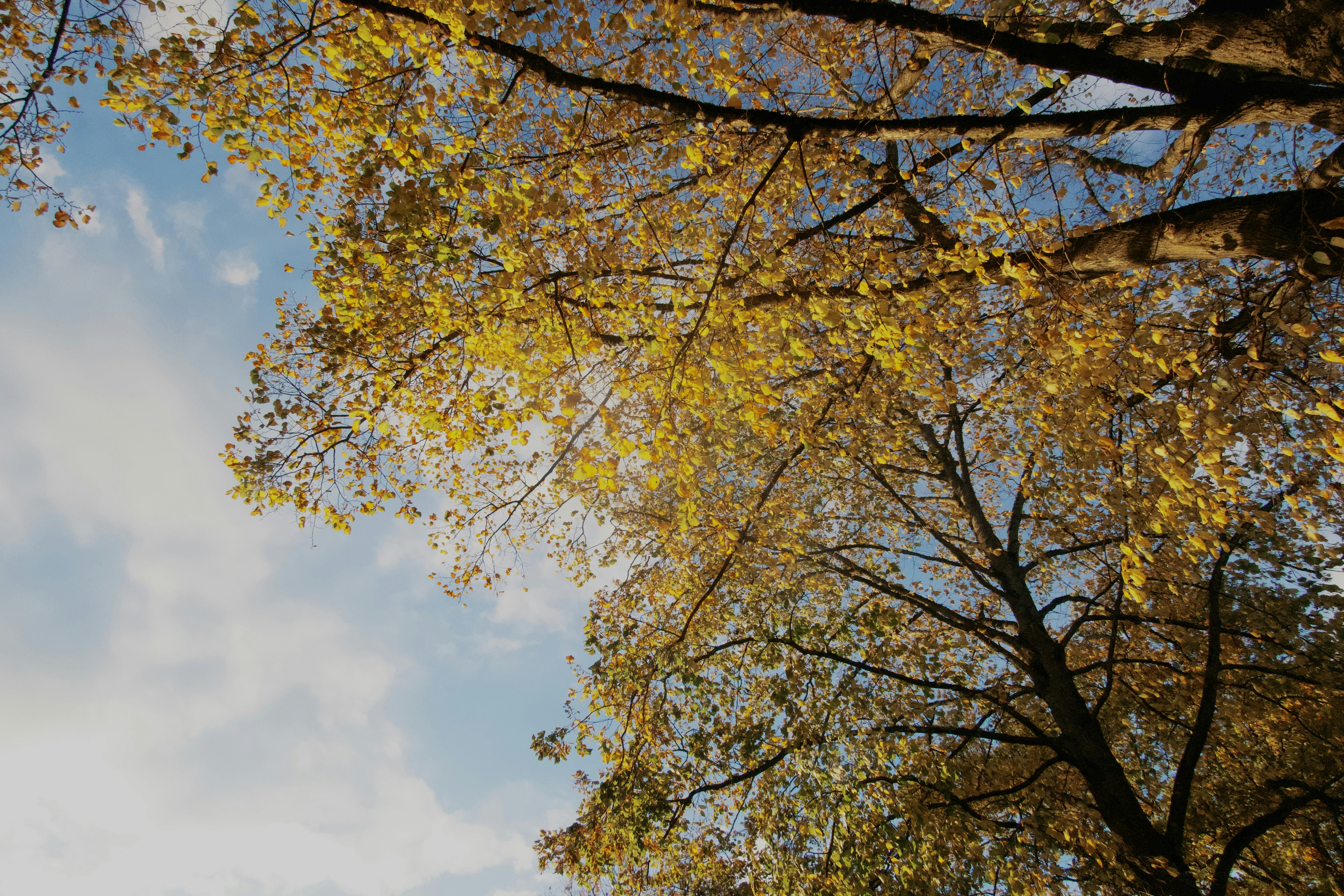 Photo by yingjiexiao