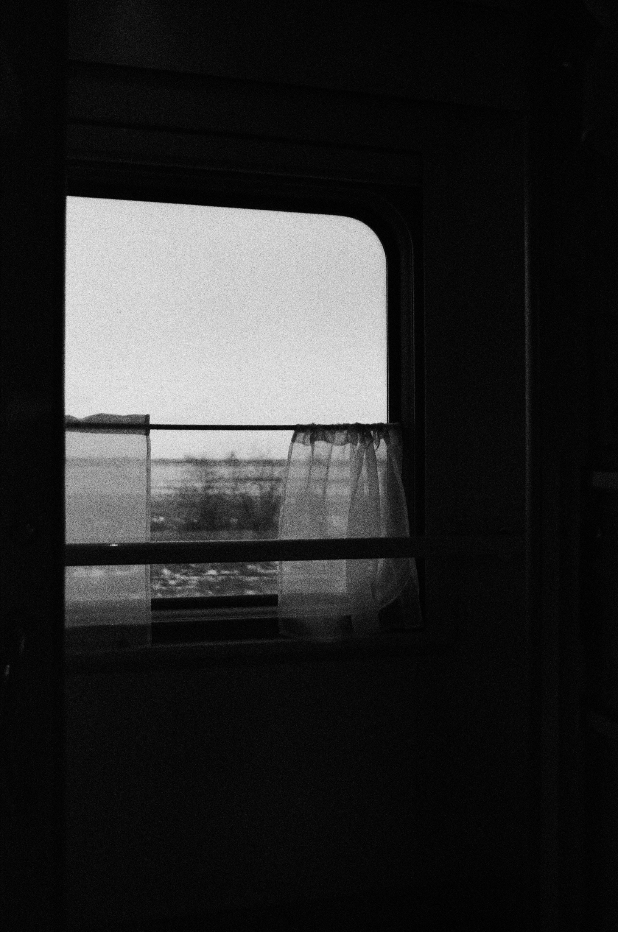 Photo by clupeonella