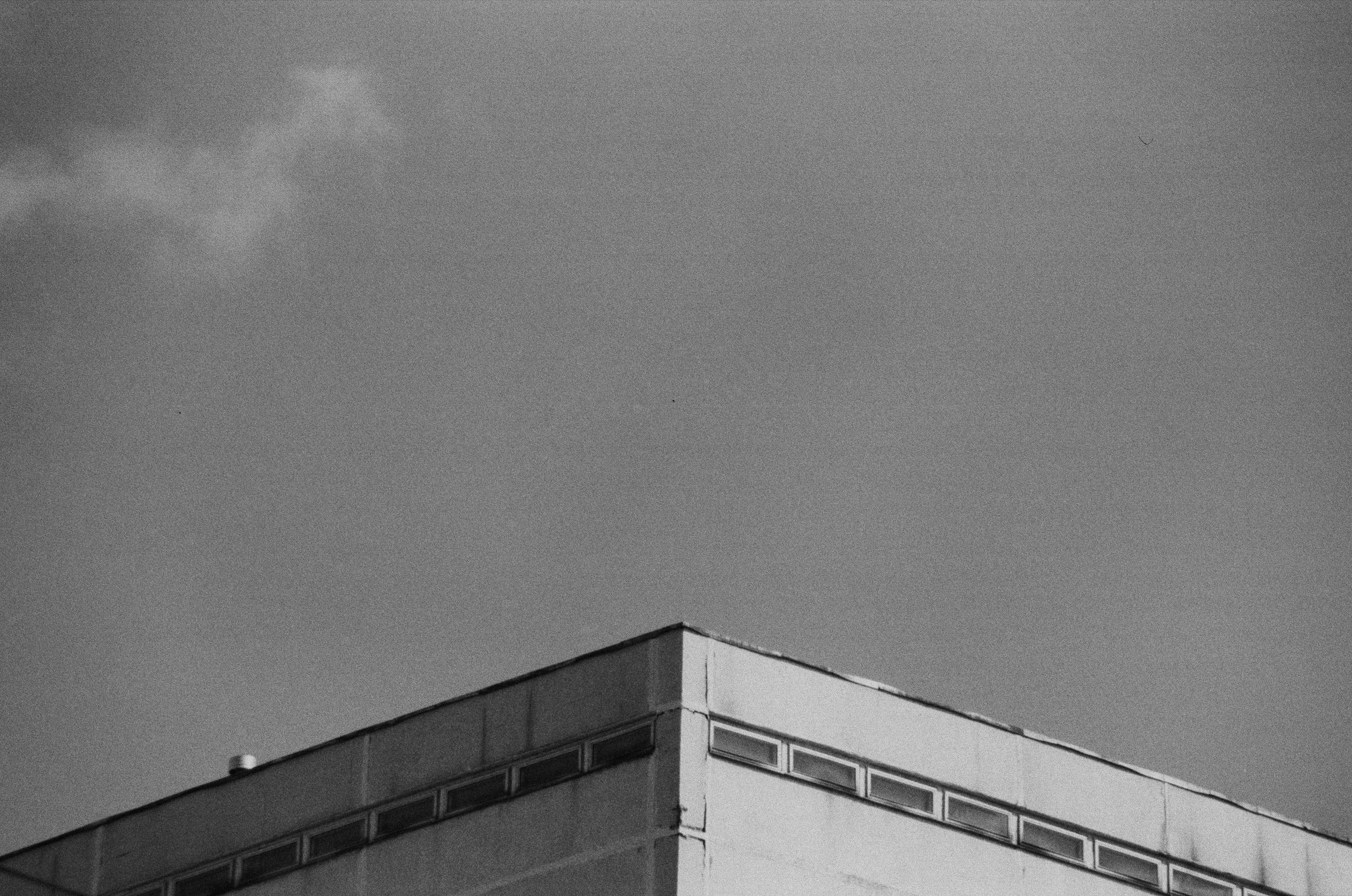 Photo by clupeonella