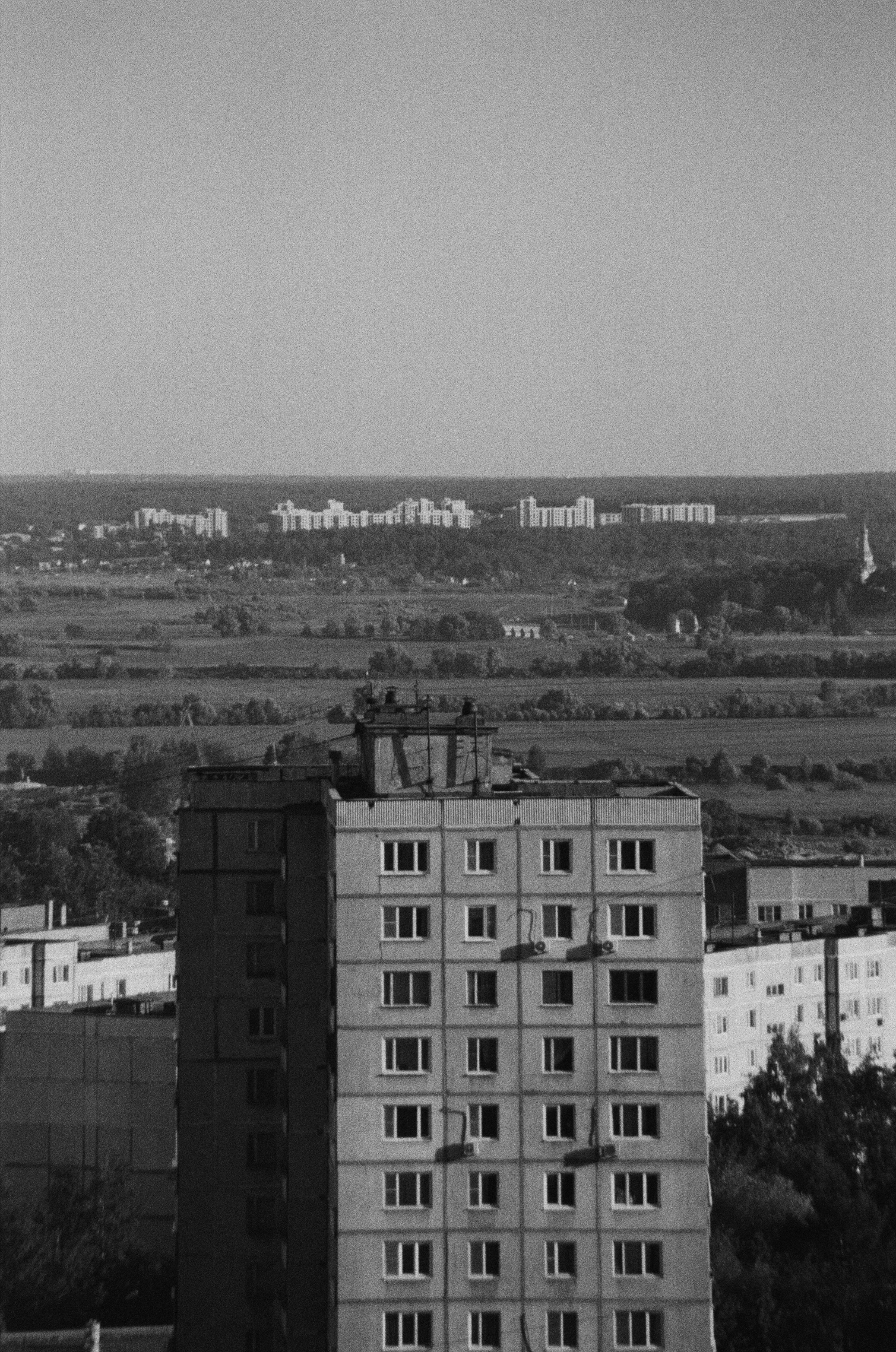 Photo by clupeonella