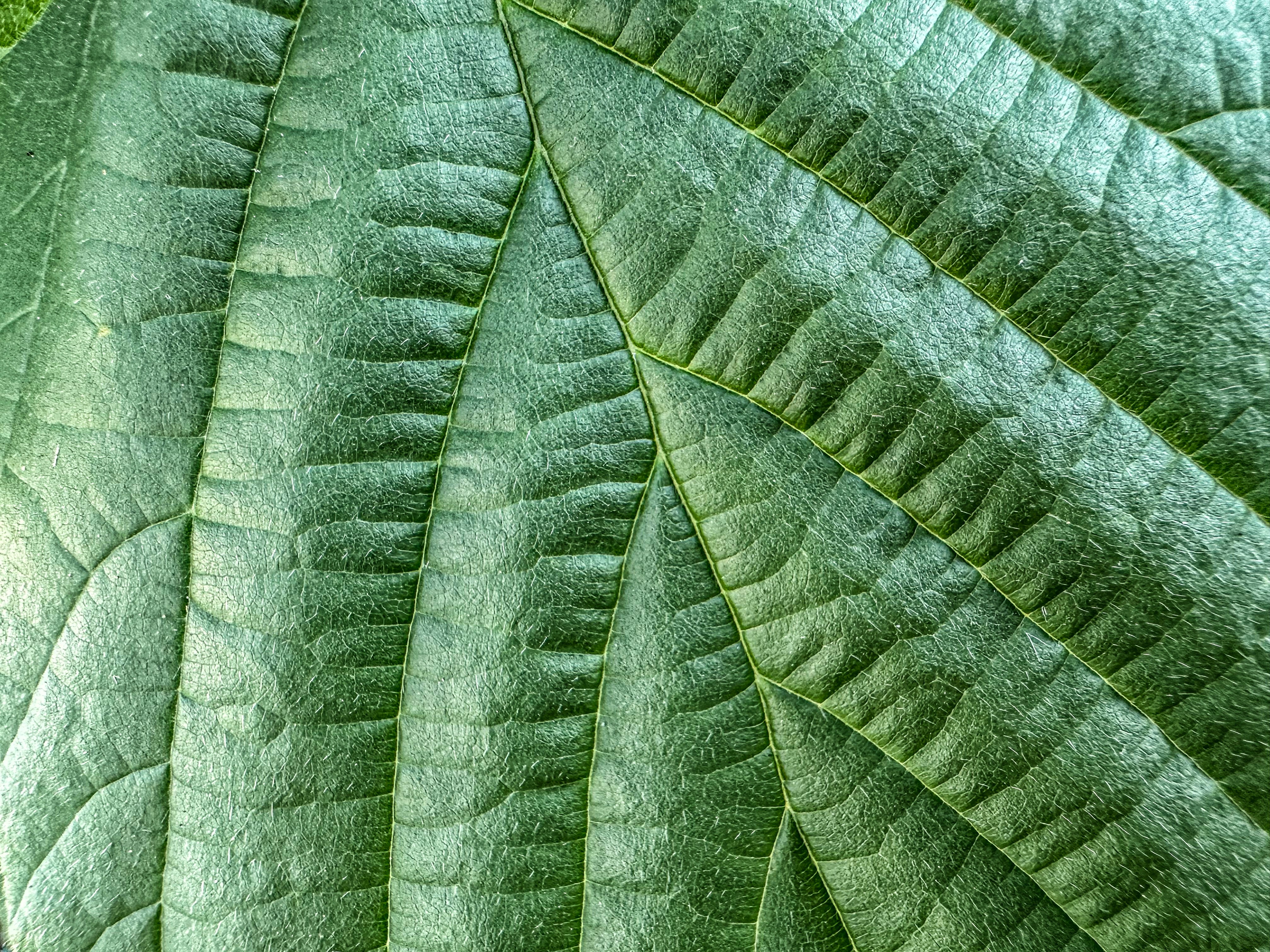 Photo by s_twirer721