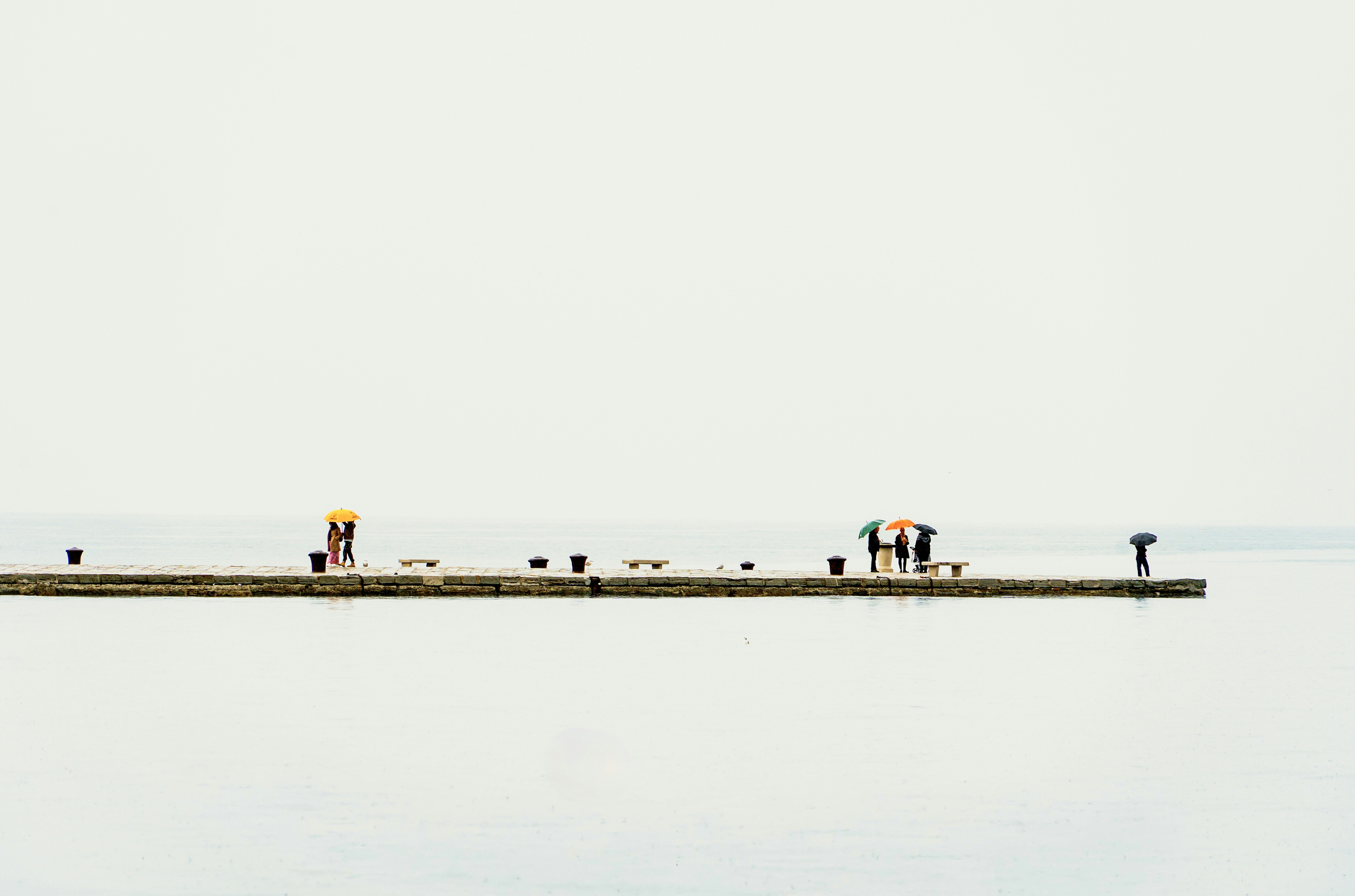 Photo by pugnaghis