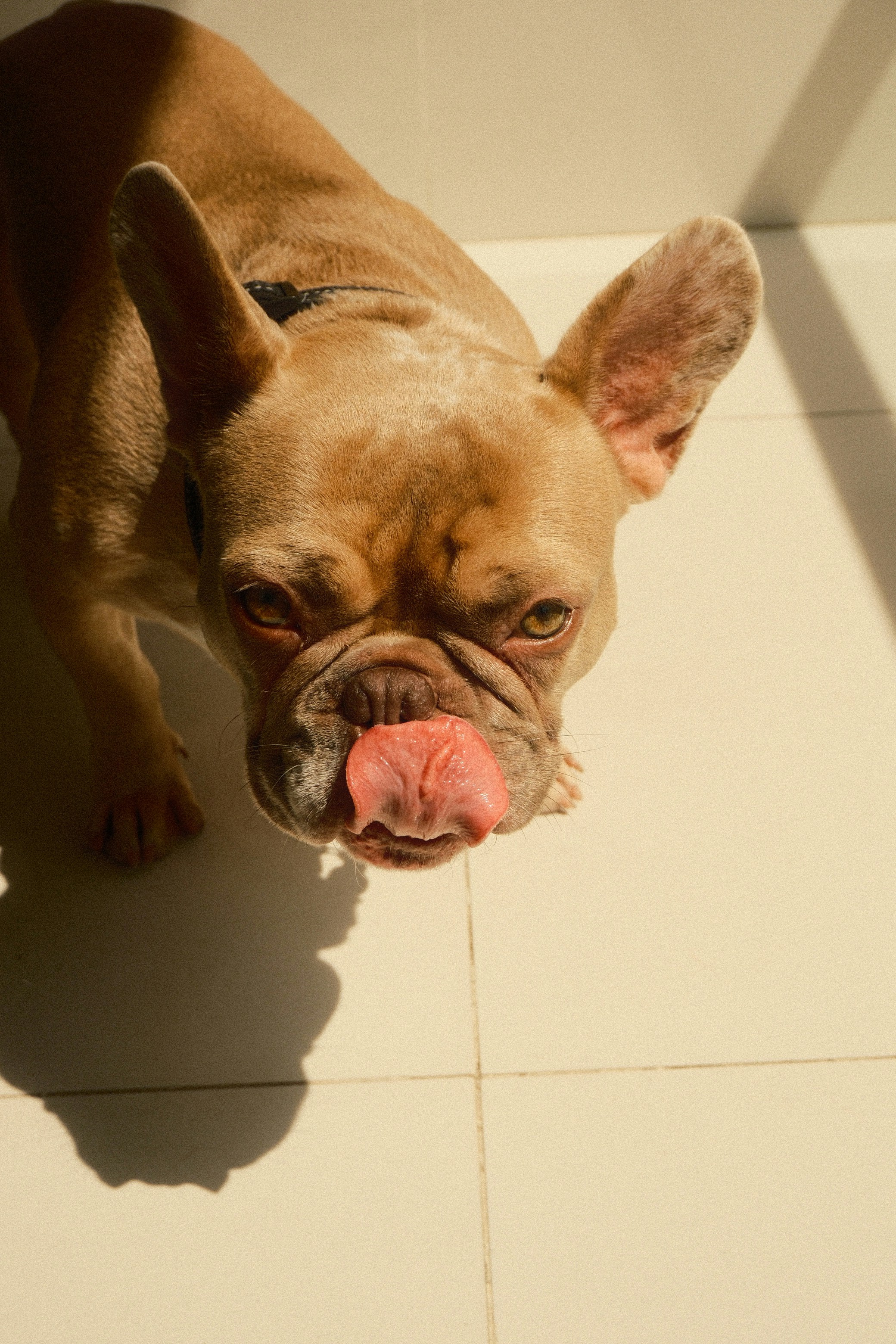 Photo by sebastianvgo