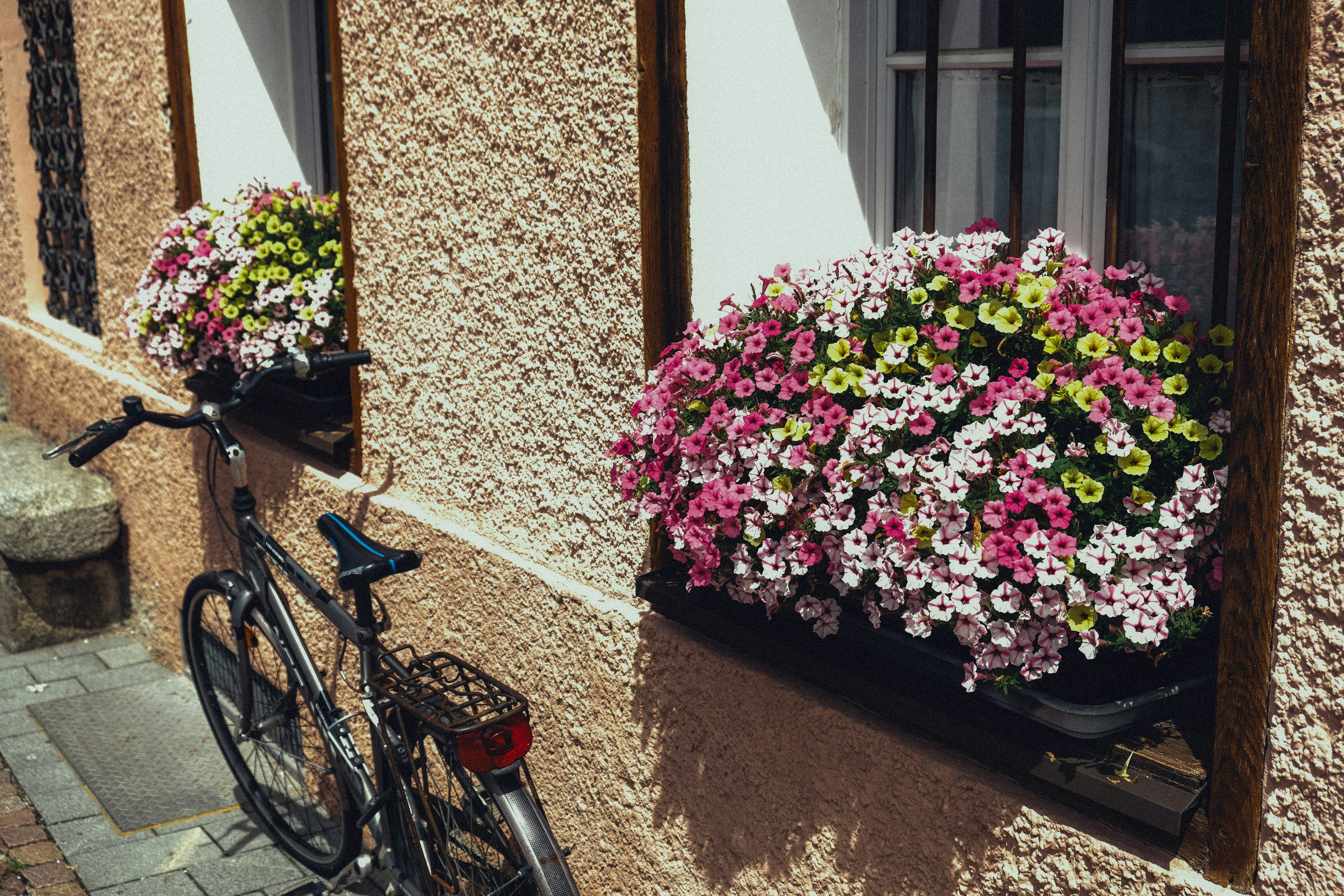 Bicycle parked near a window with colorful flowers.