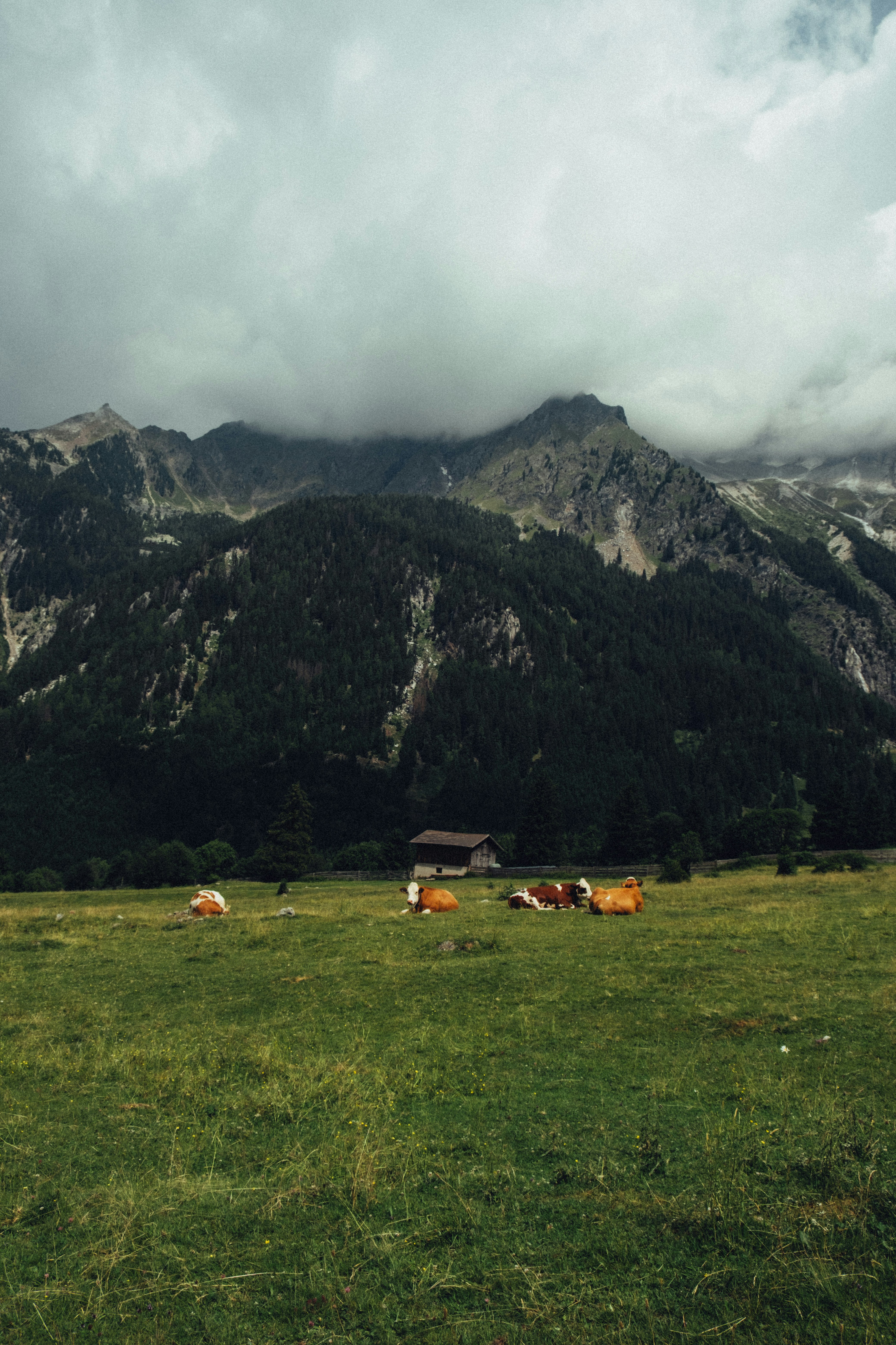 Photo by benkupke