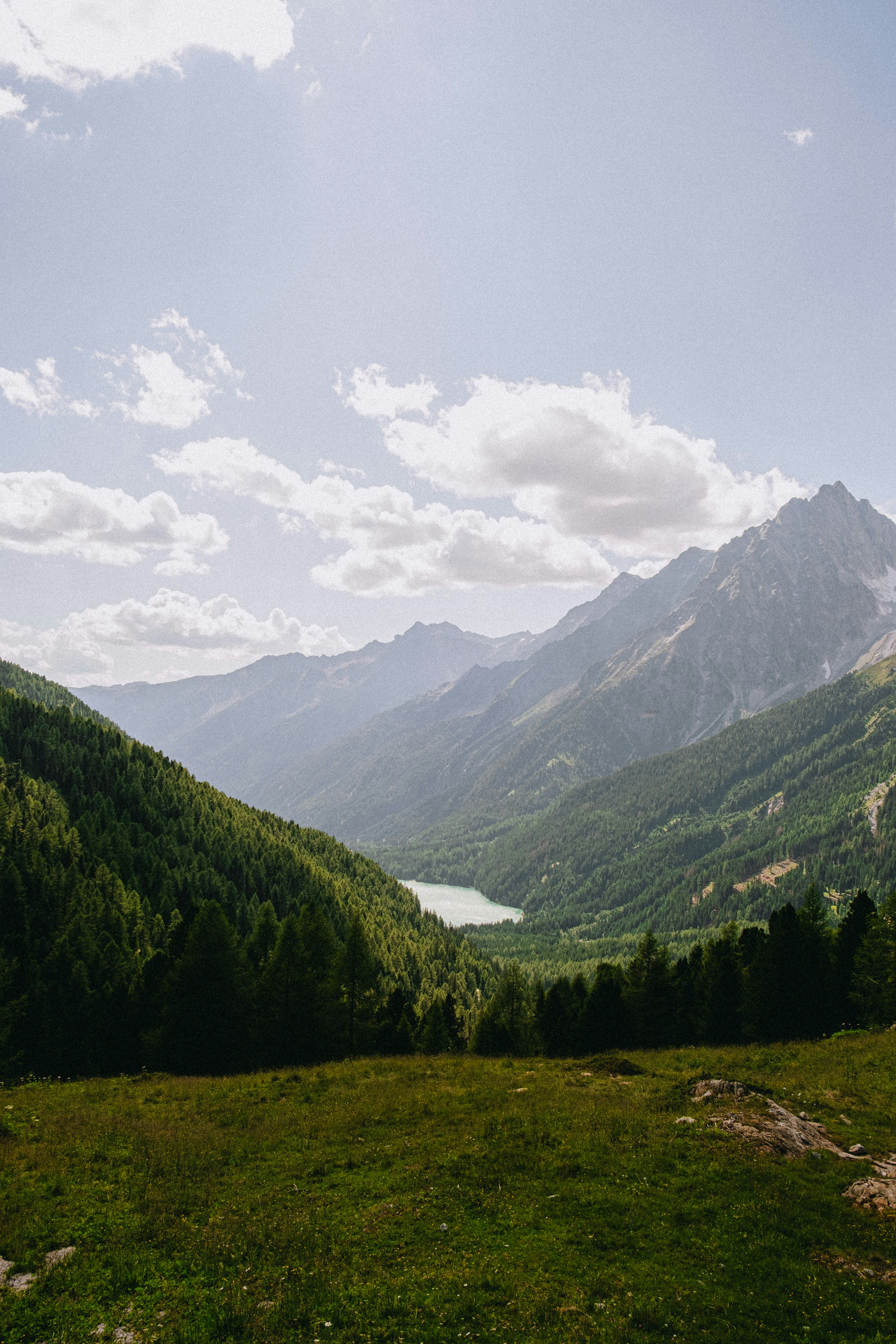 Mountain valley with a lake and green forest