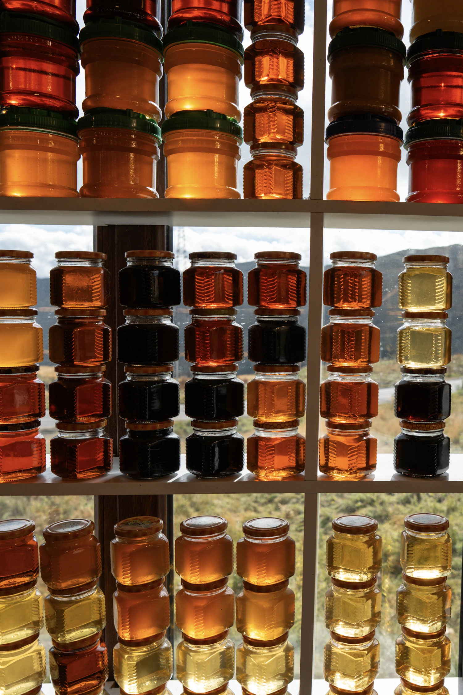 Shelves of honey jars from pale gold to dark amber, lit by a window behind