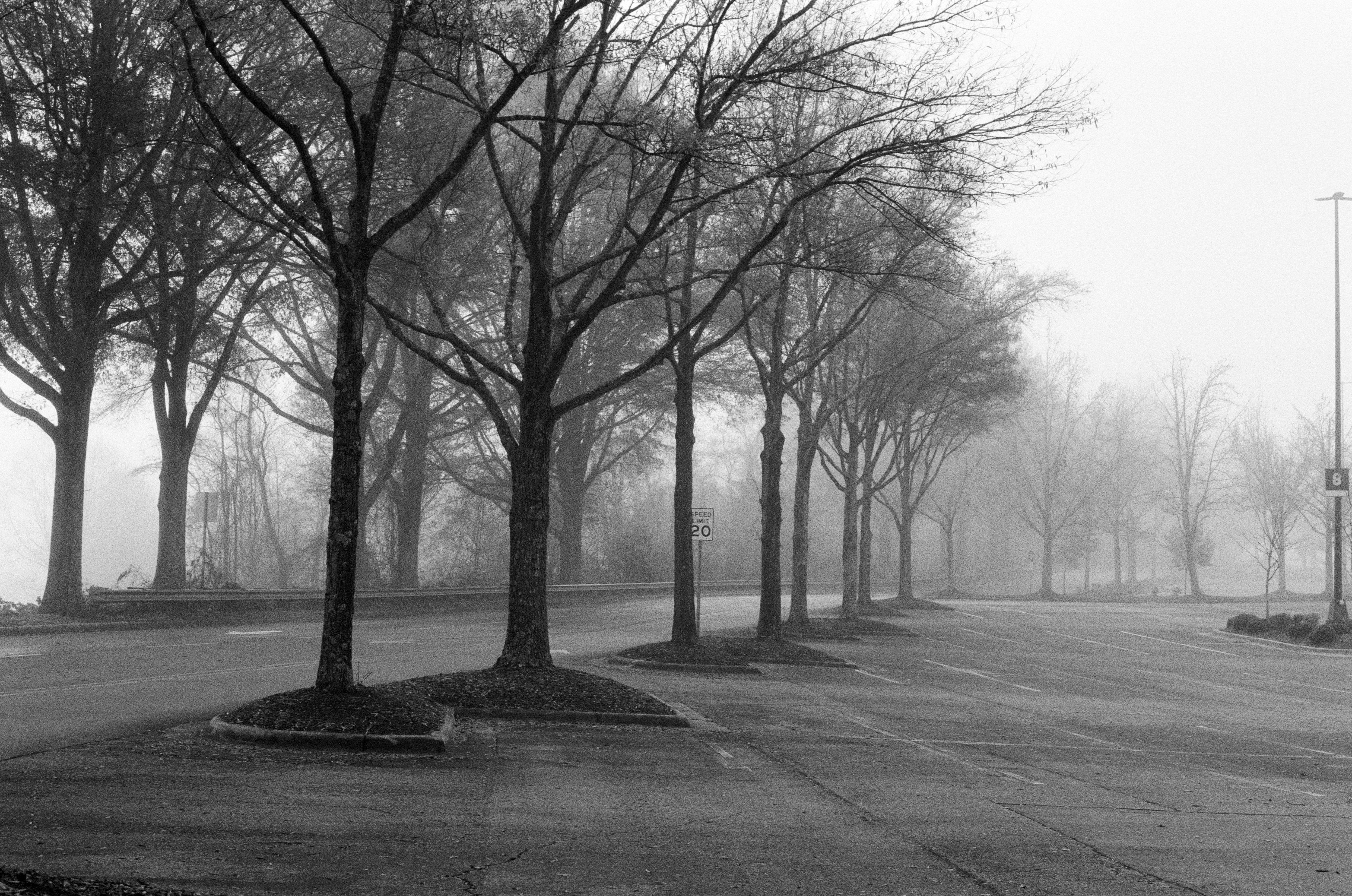 Photo by khristian_ortiz