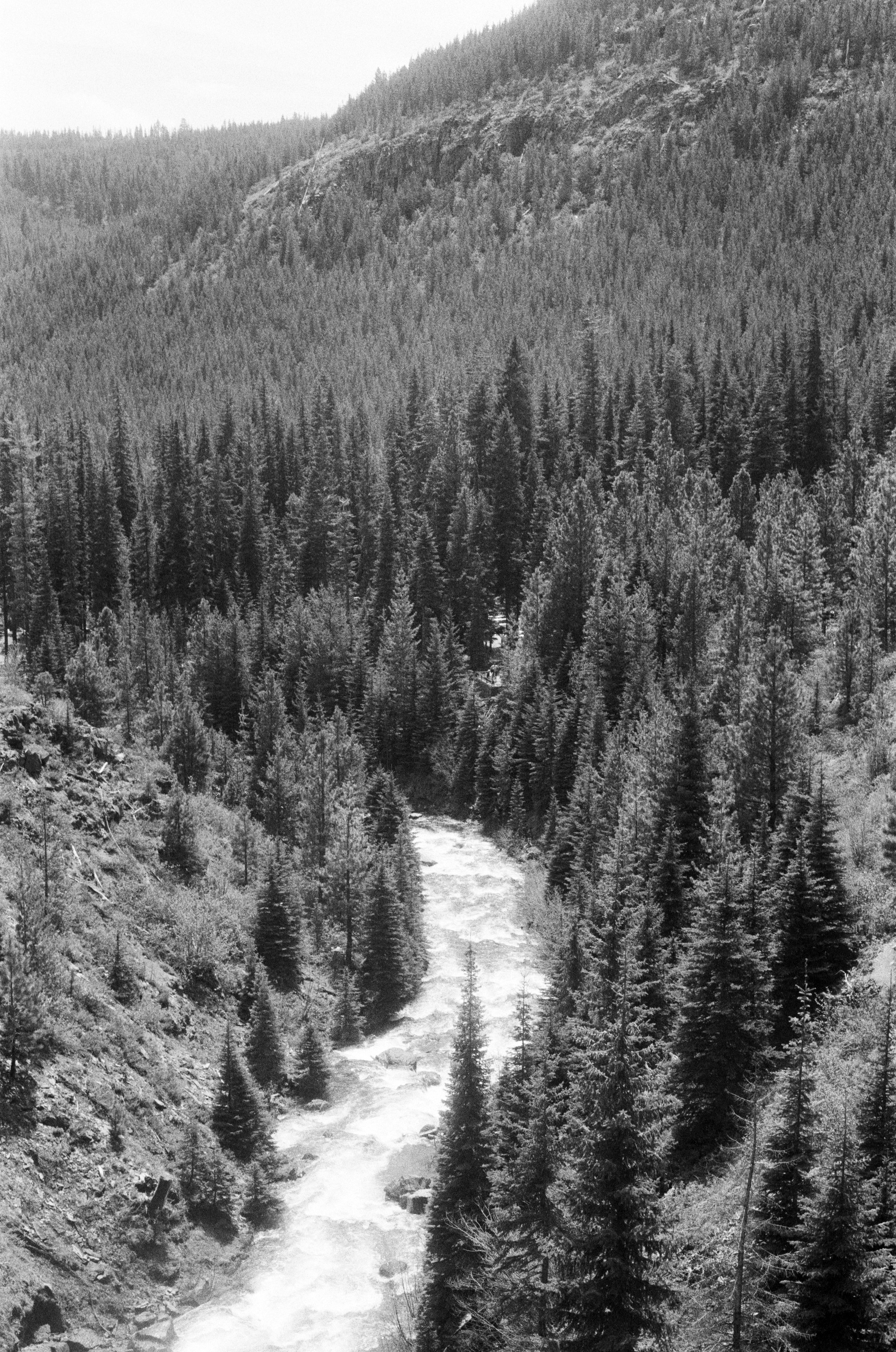 Photo by khristian_ortiz