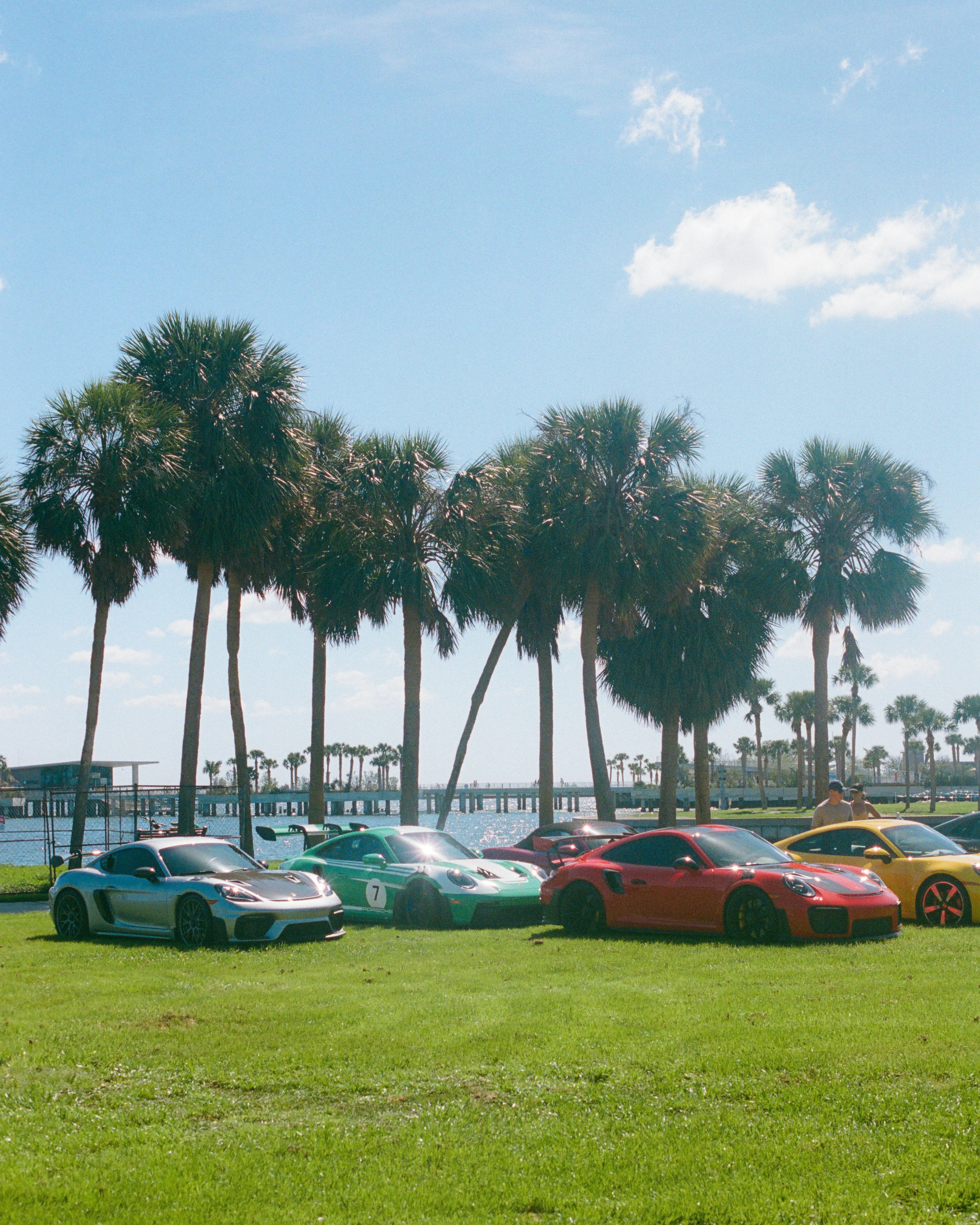 Several sports cars parked on grass with palm trees