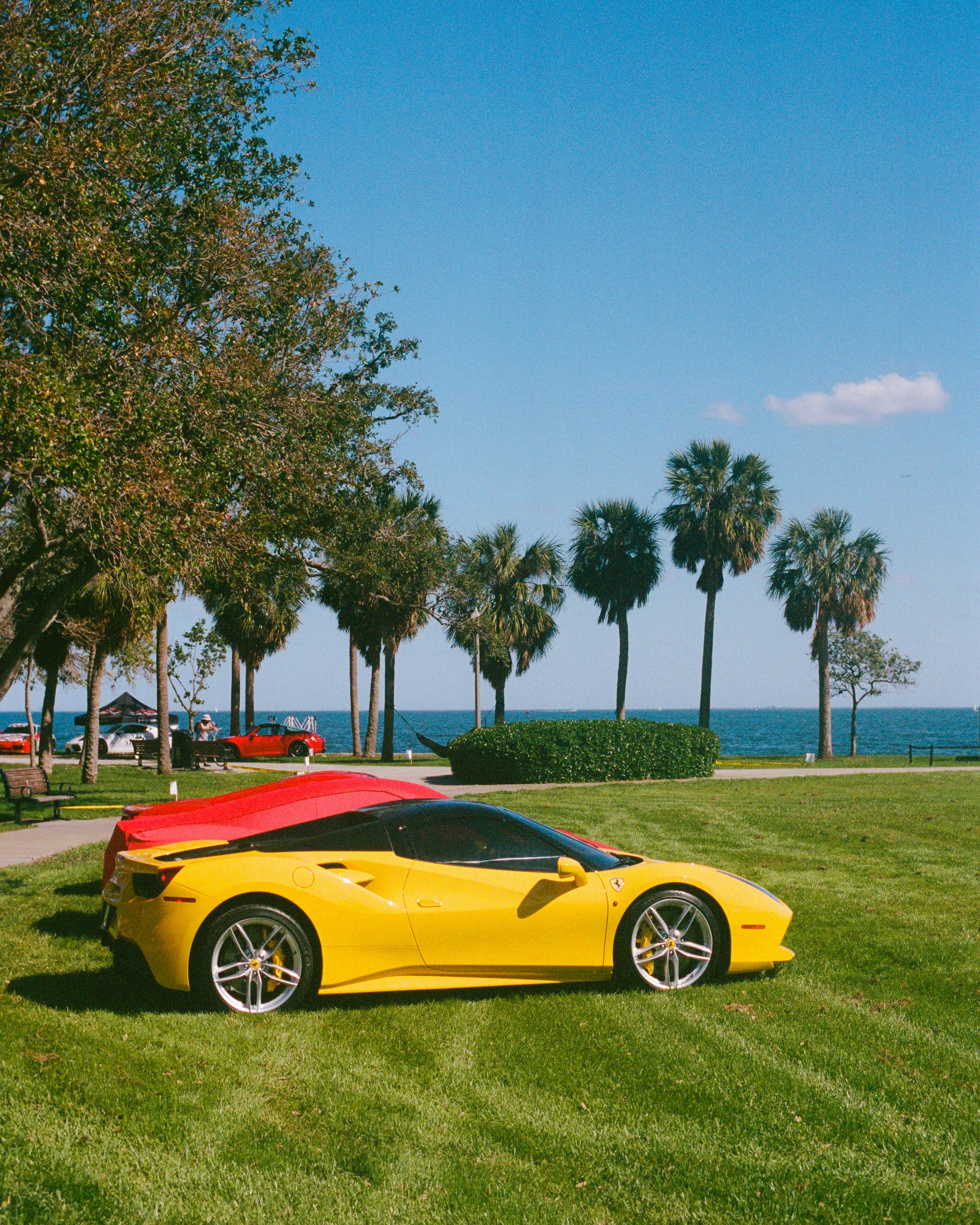 Comparing Auto Insurance Quotes in Florida