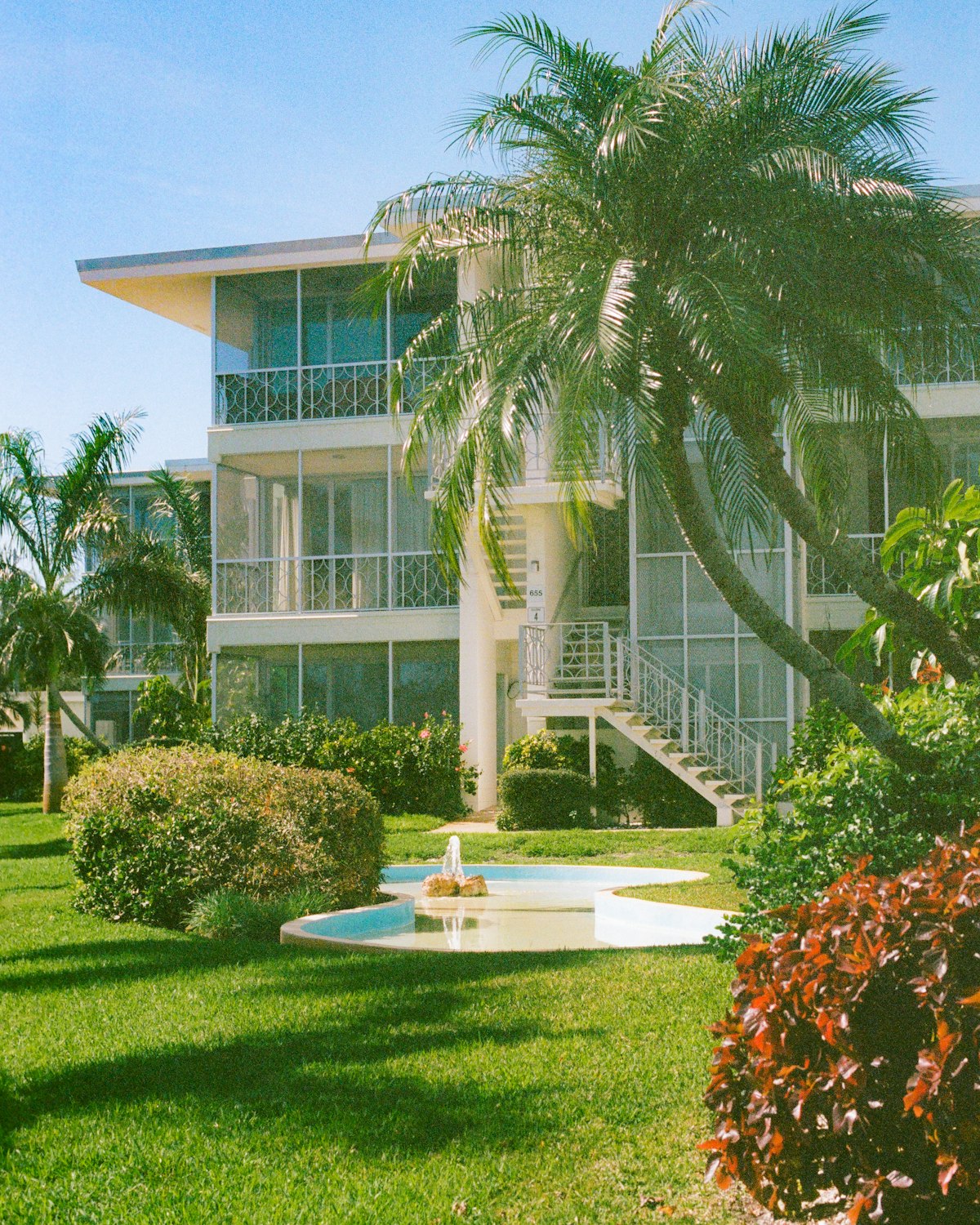 Tropical residential community with homes and palm trees representing Sun Belt housing markets