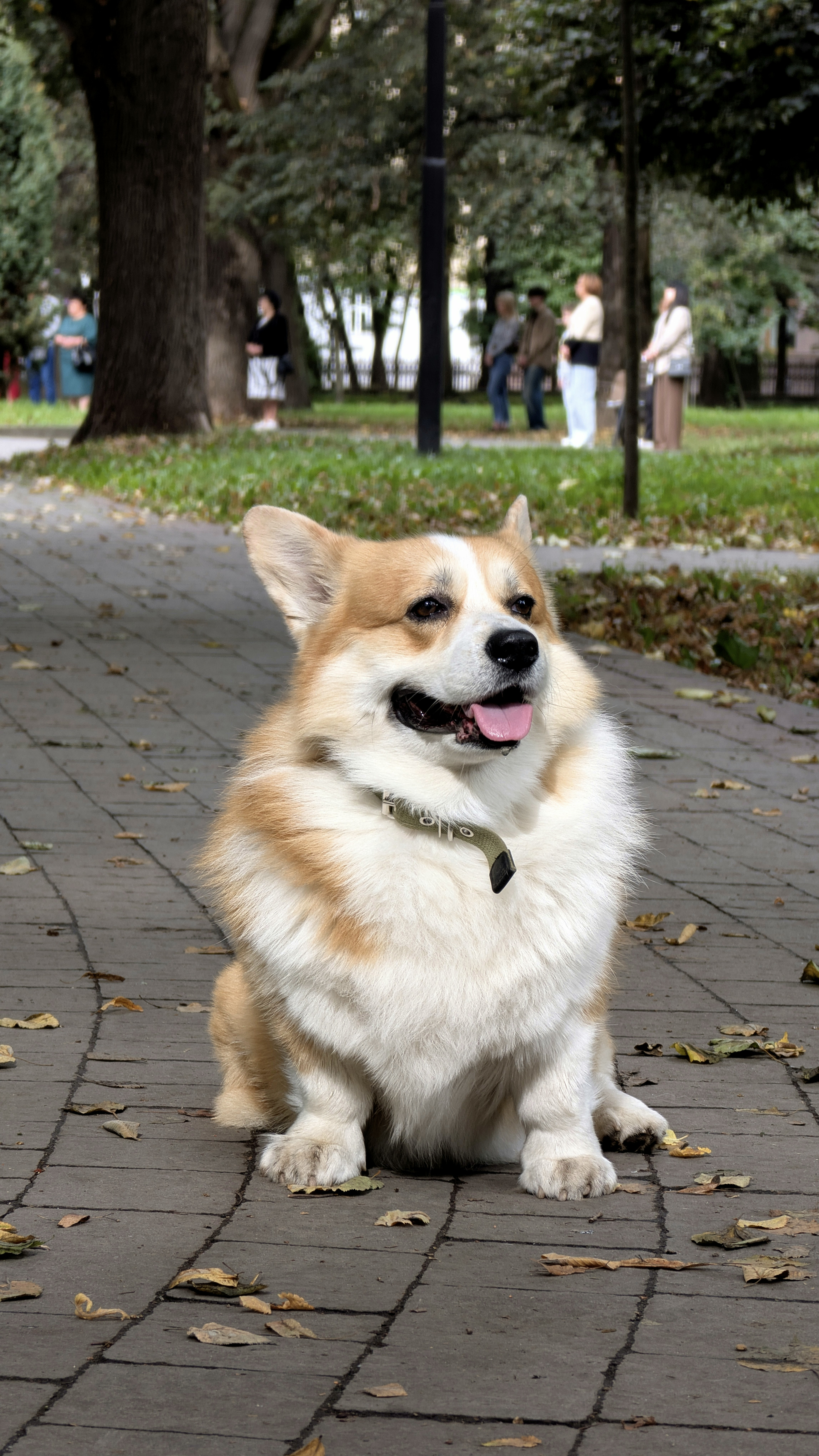 Photo by yevhen_stienin