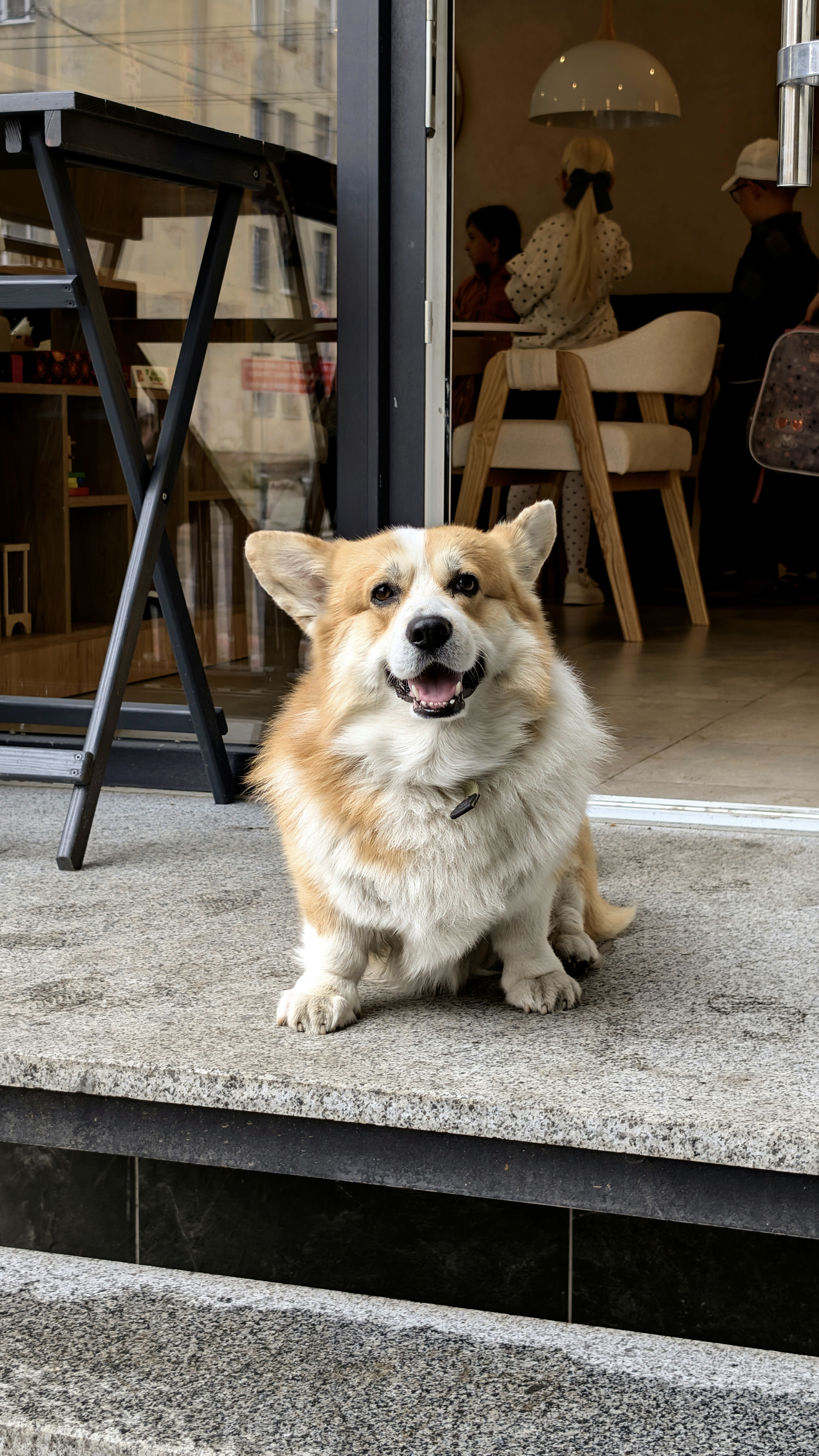 A happy corgi sits outside a cafe entrance.