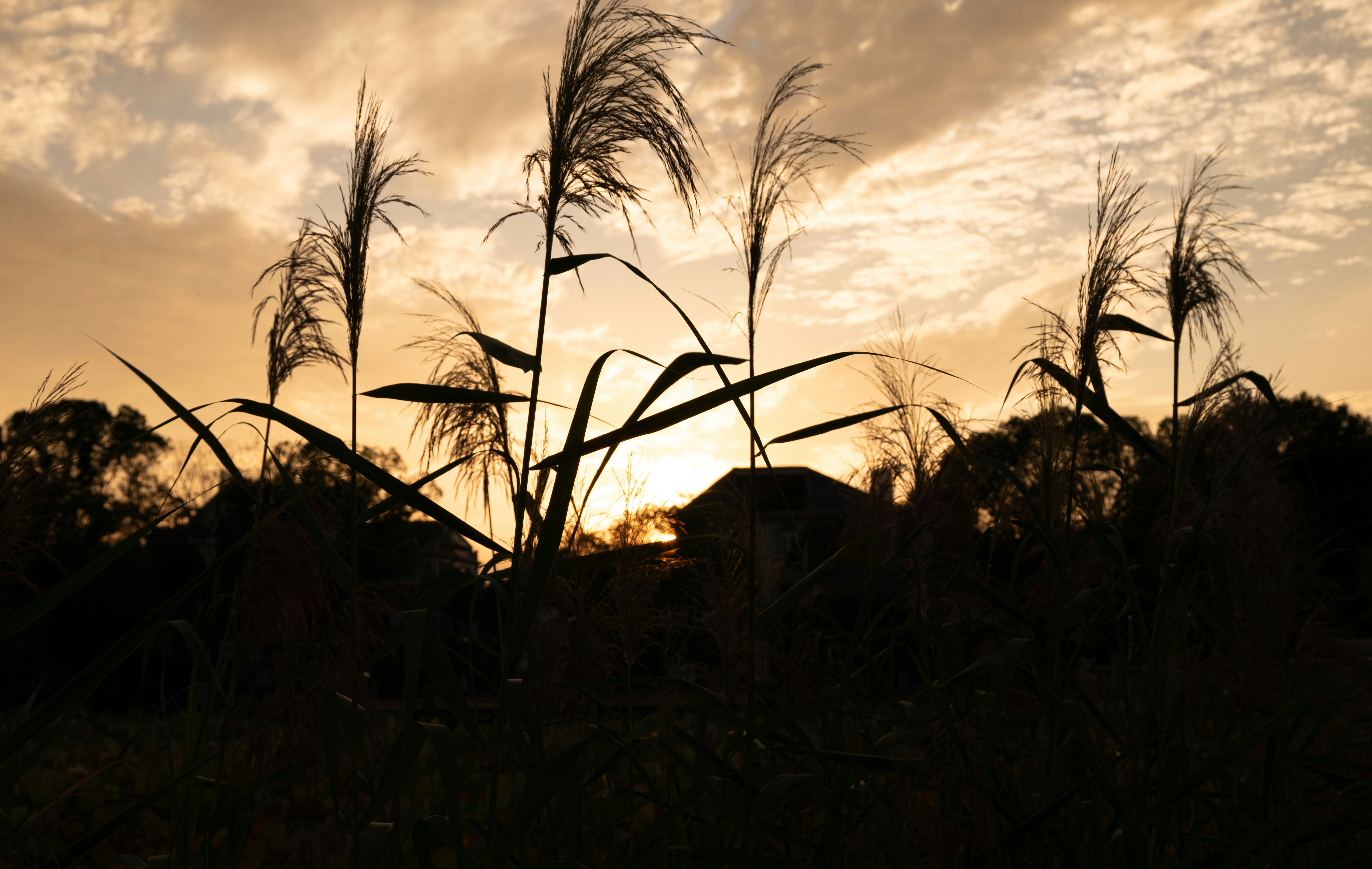 Photo by woodchen