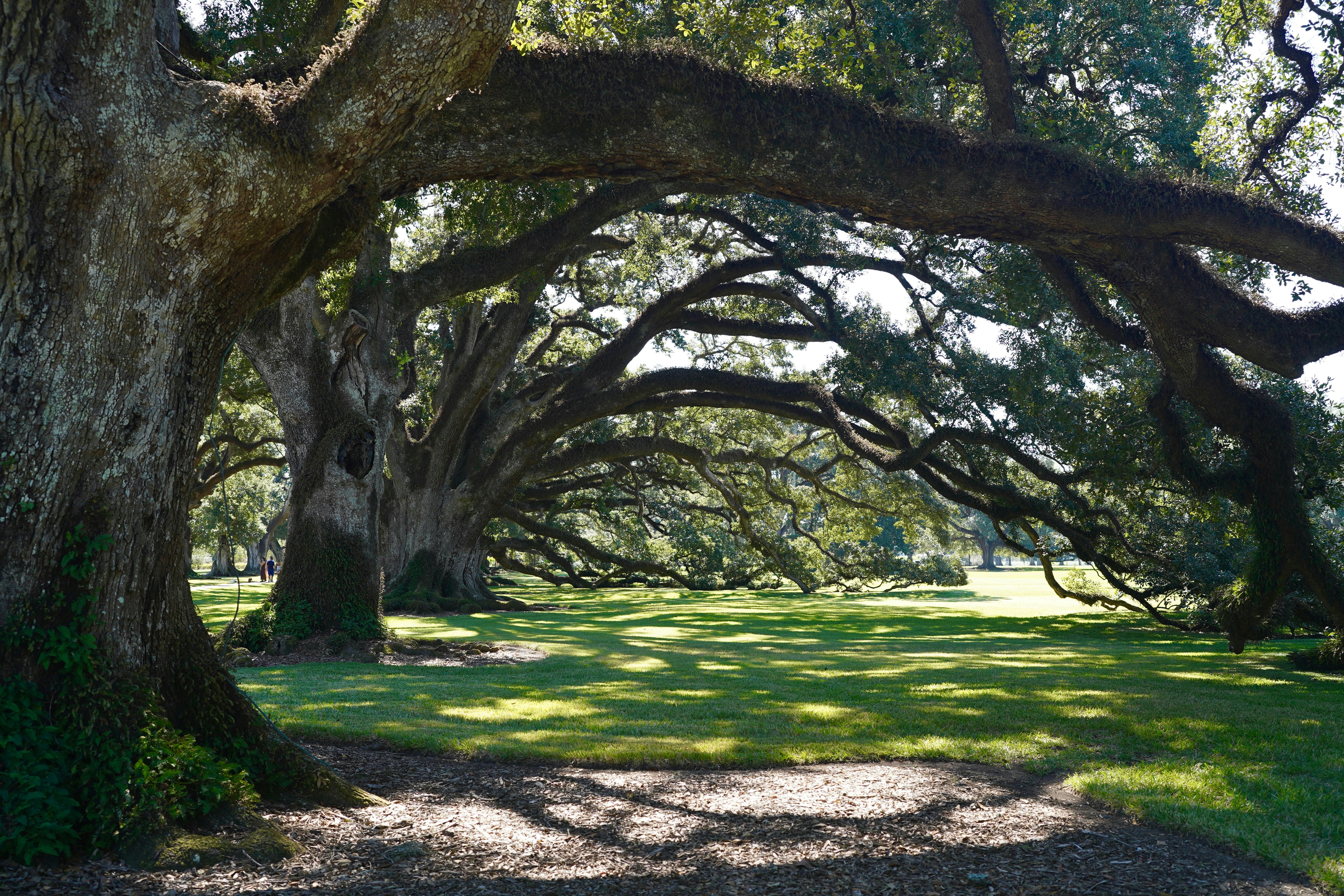 Photo by jillguineapiggy