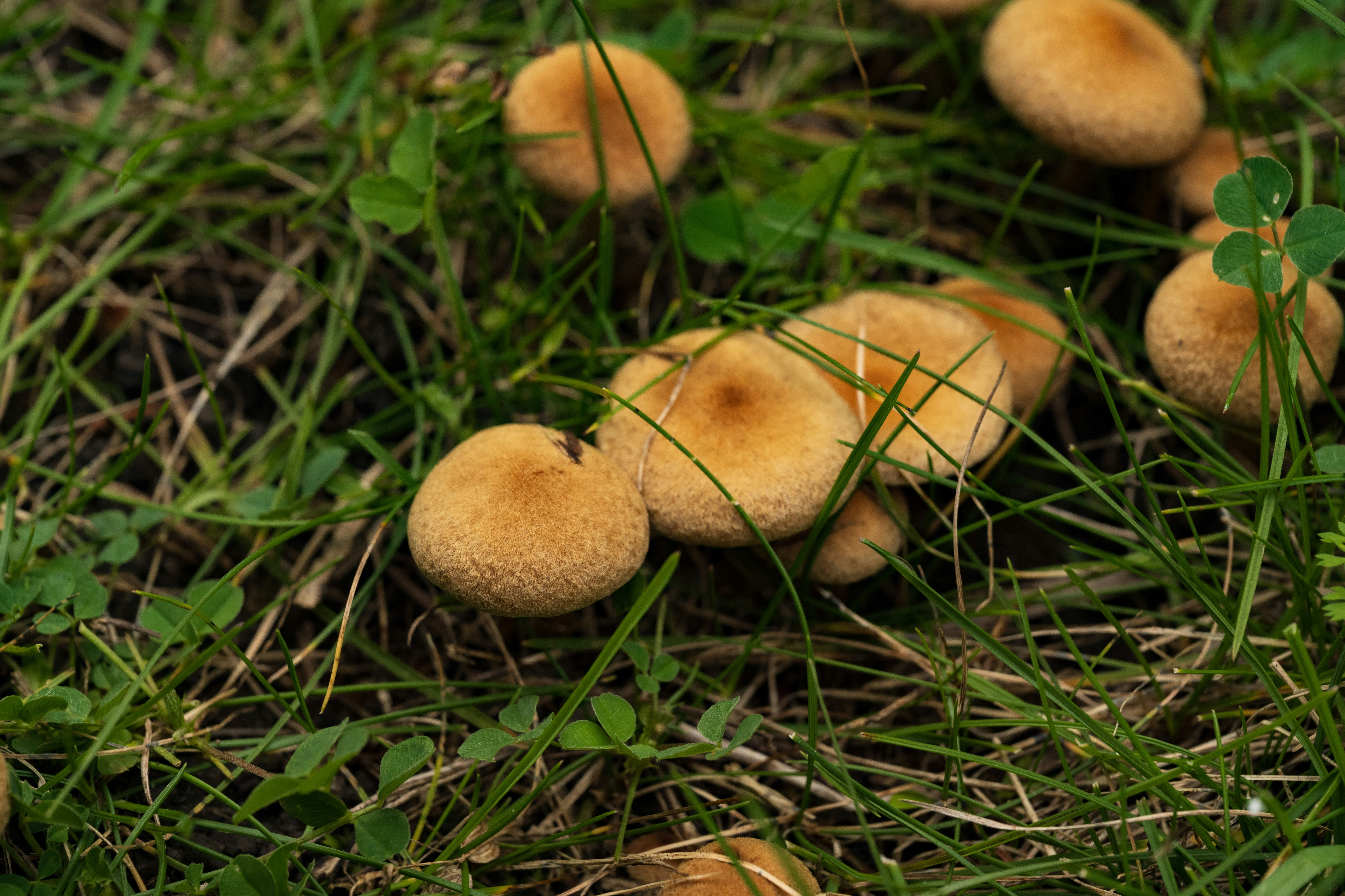 Photo by justynazielinska654