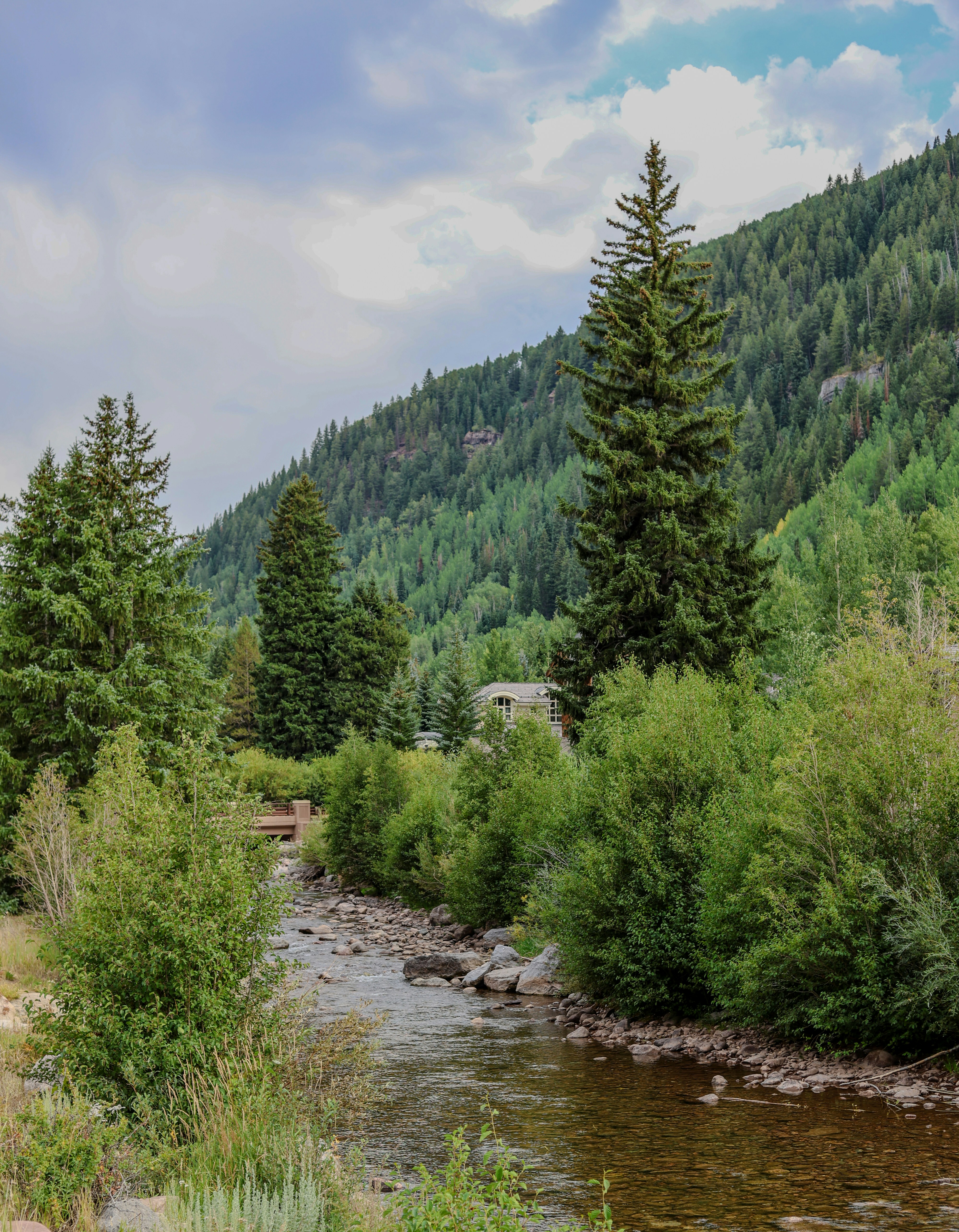 Photo by chaitanya_rayampally