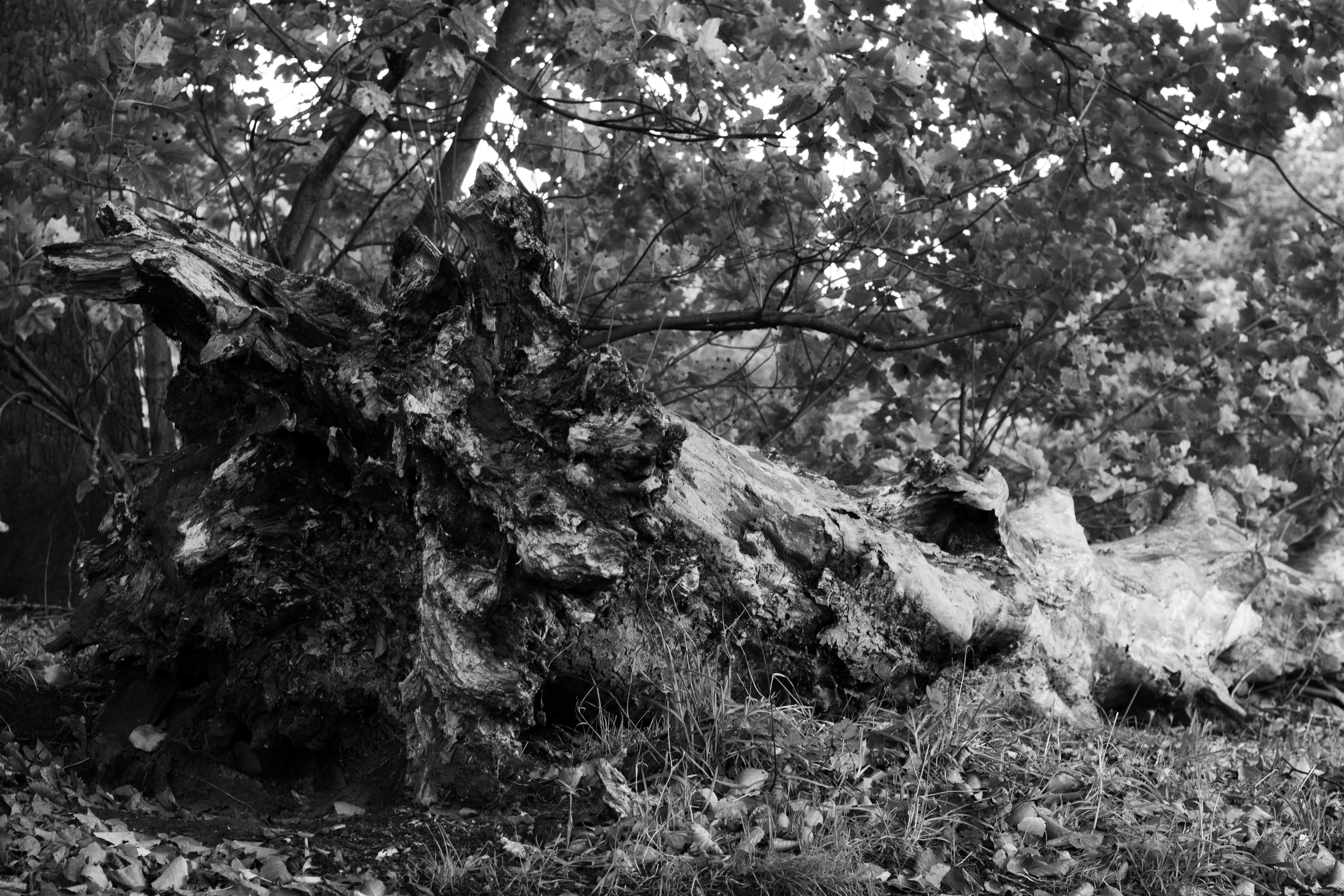 Photo by alexdavidphotos