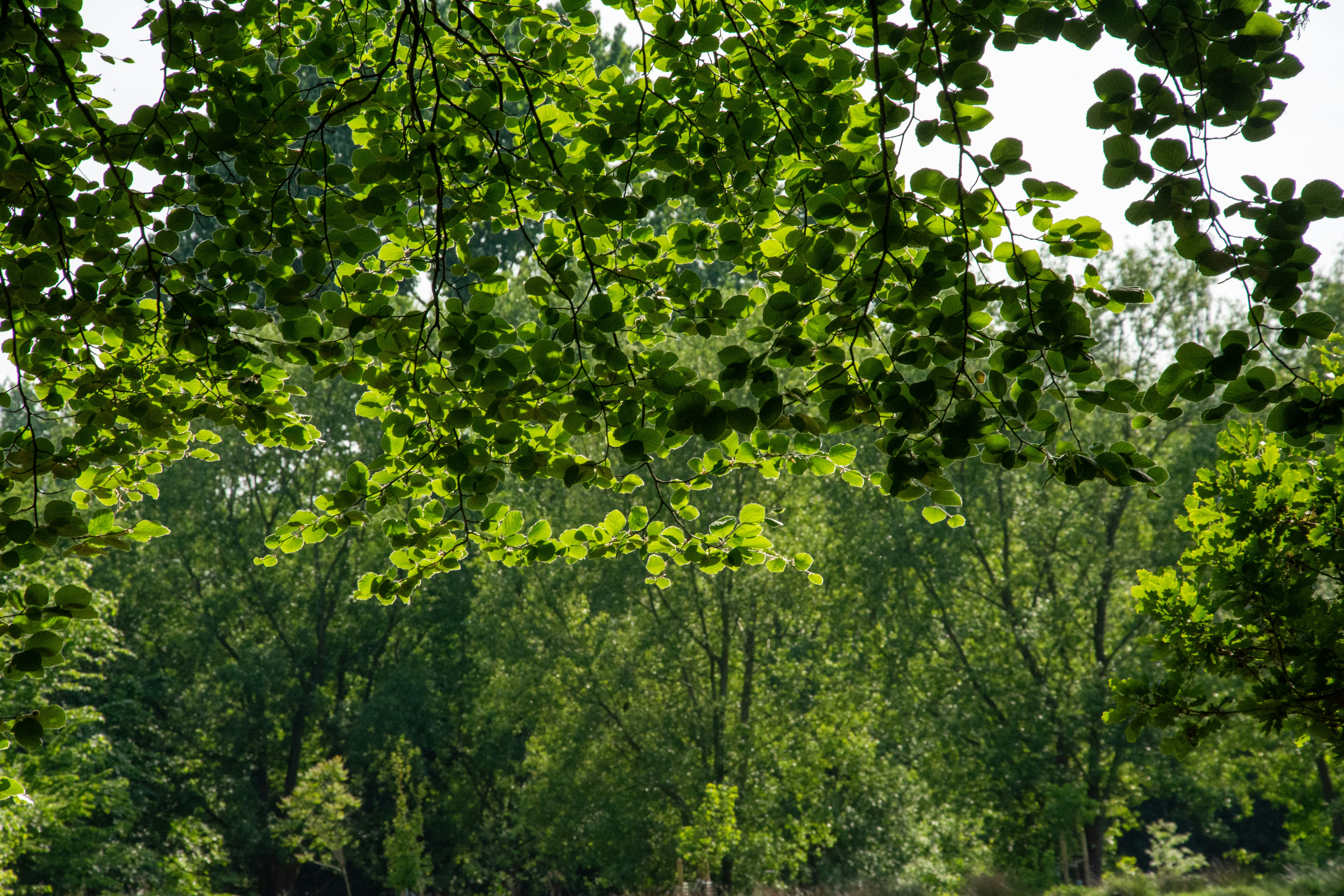 Photo by alexdavidphotos