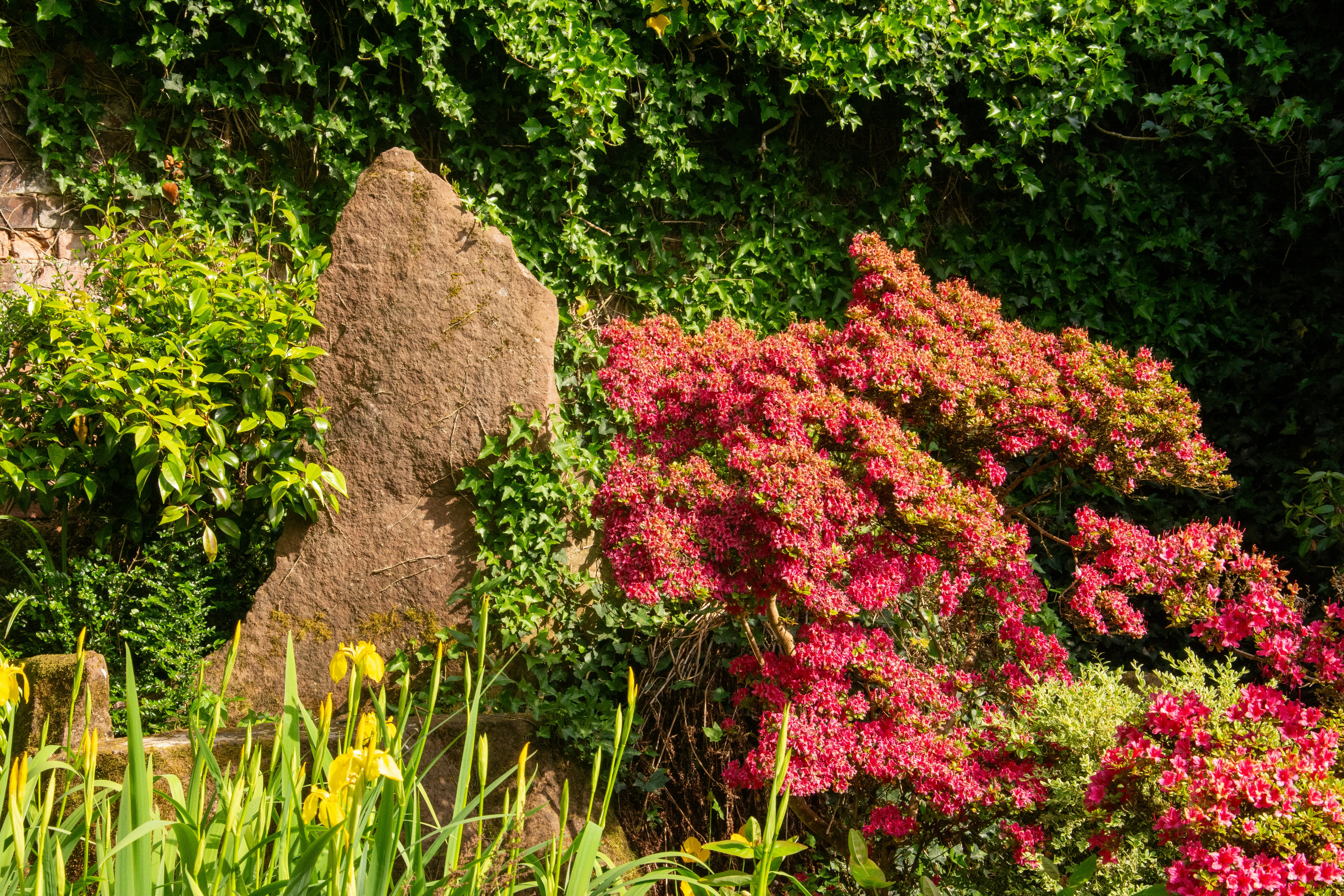 Provost's Garden