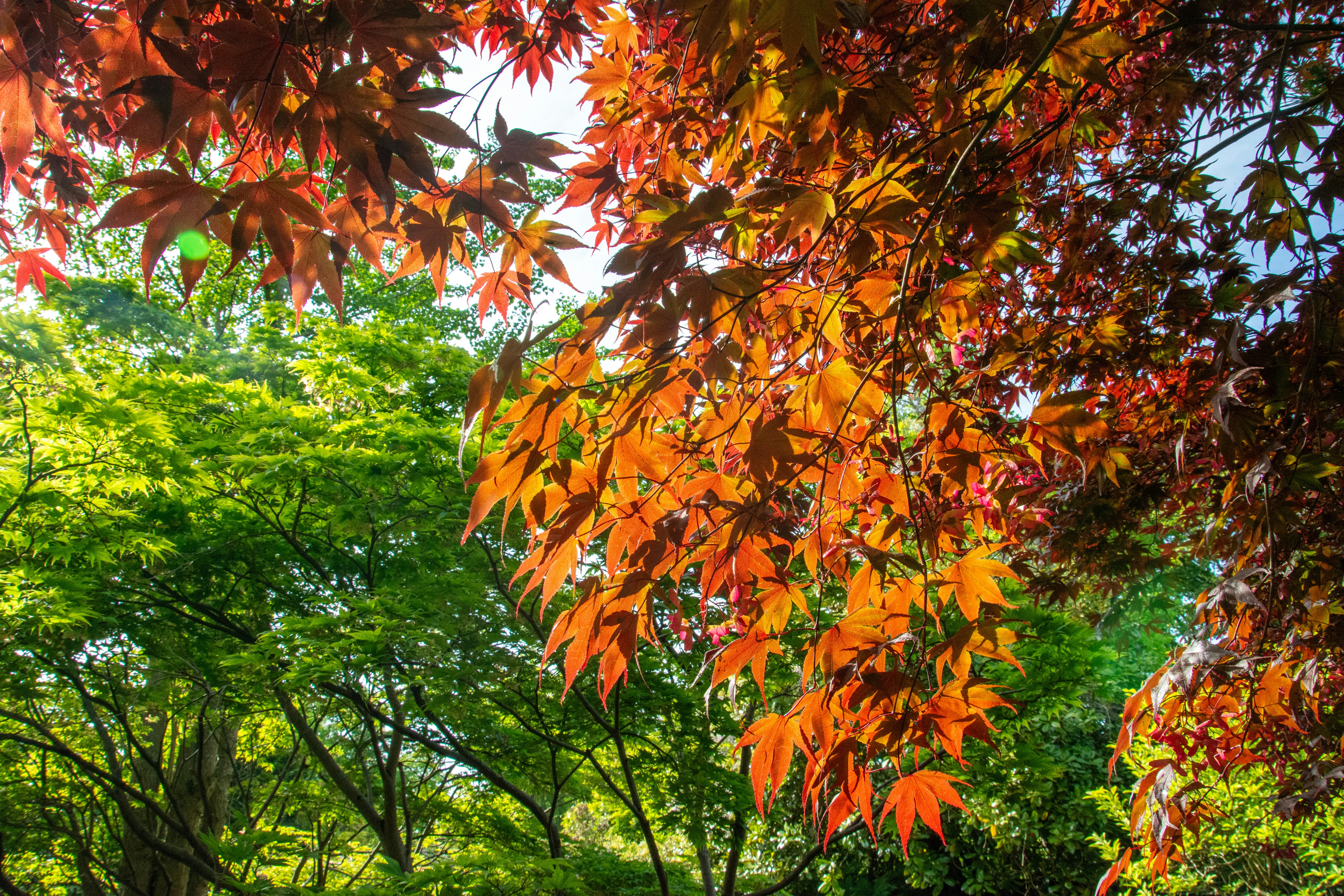 Photo by alexdavidphotos