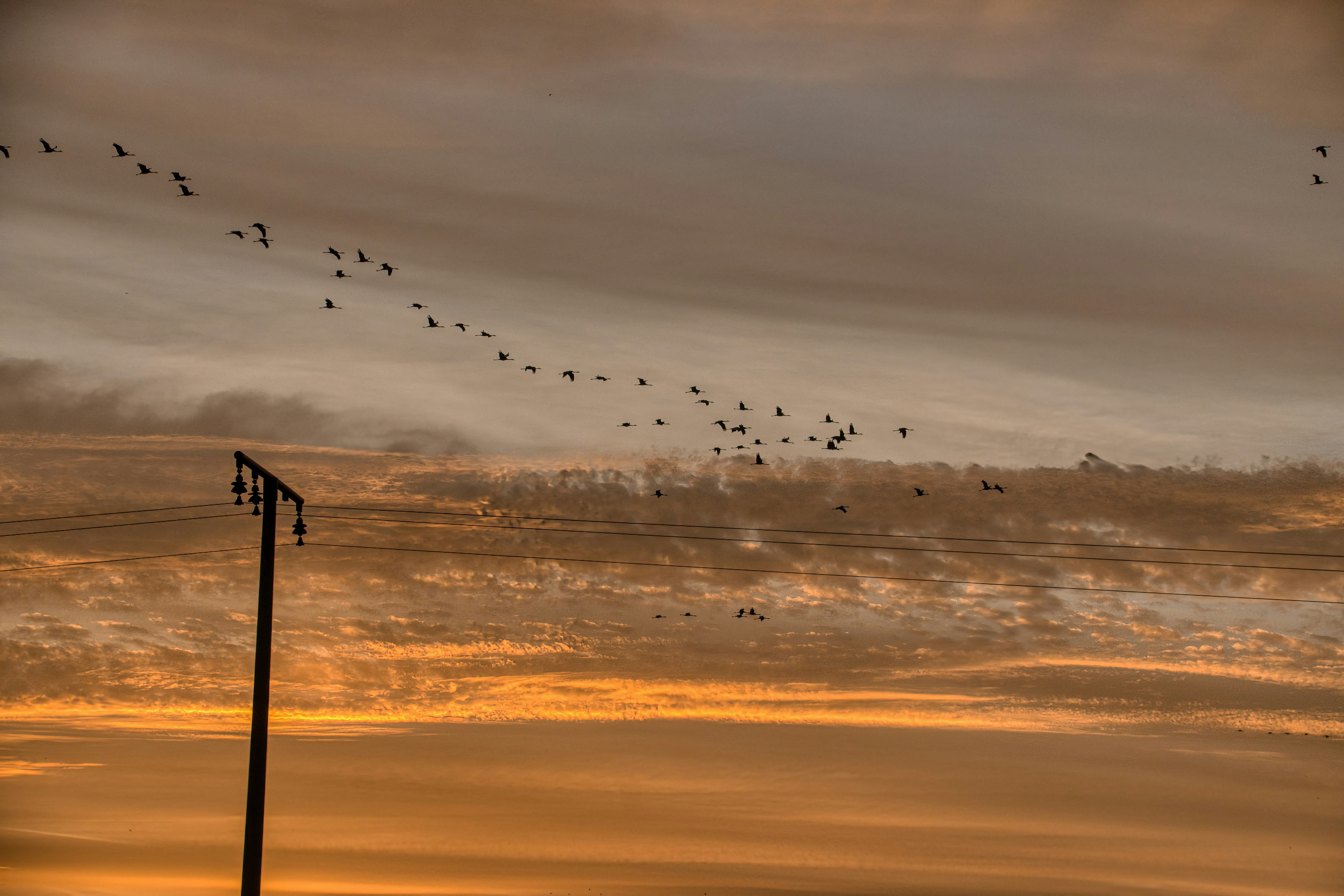 Sverige: Bara en kandidat behövs! Finland kräver masterexamen för alla! Vad händer här?