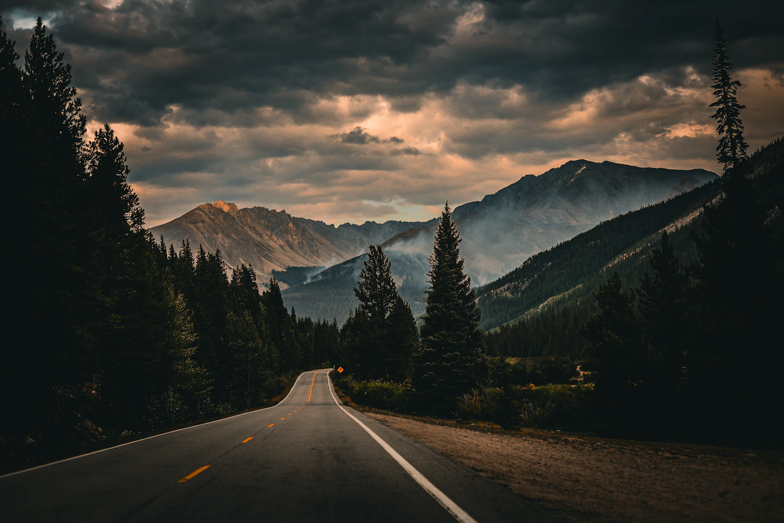 Minimalist illustration of a road cutting through a pine forest towards mountains