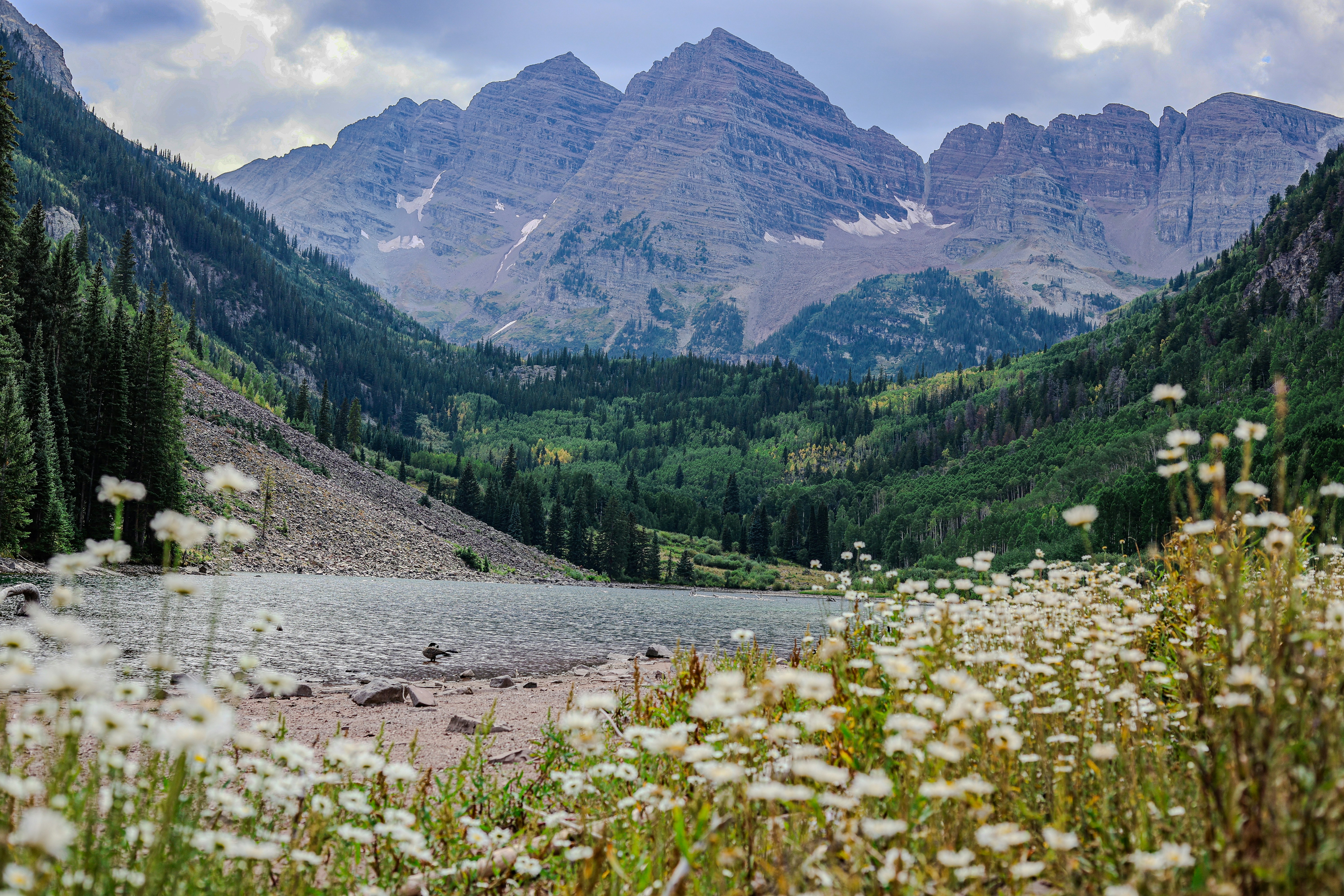 Photo by chaitanya_rayampally