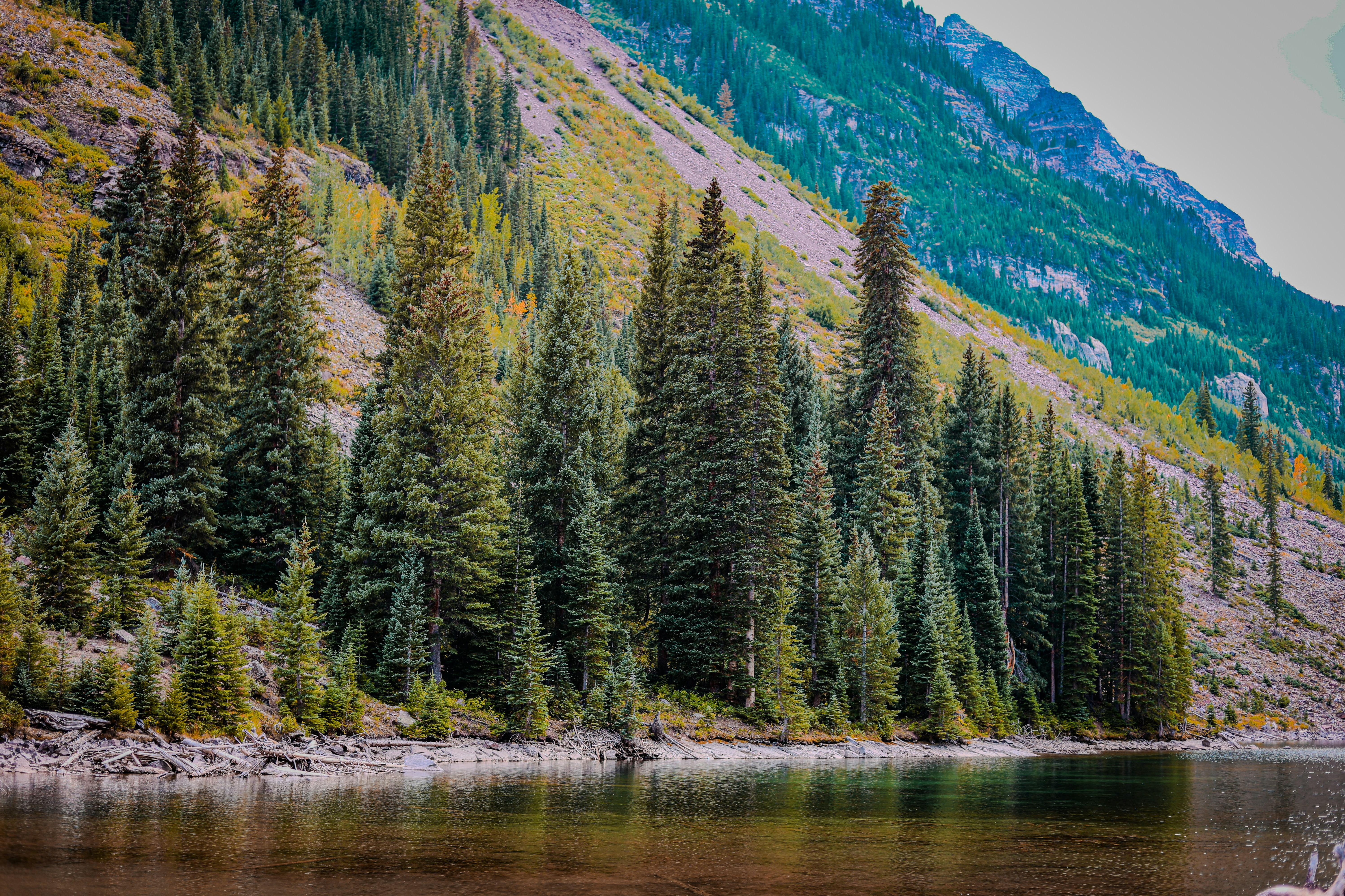 Photo by chaitanya_rayampally