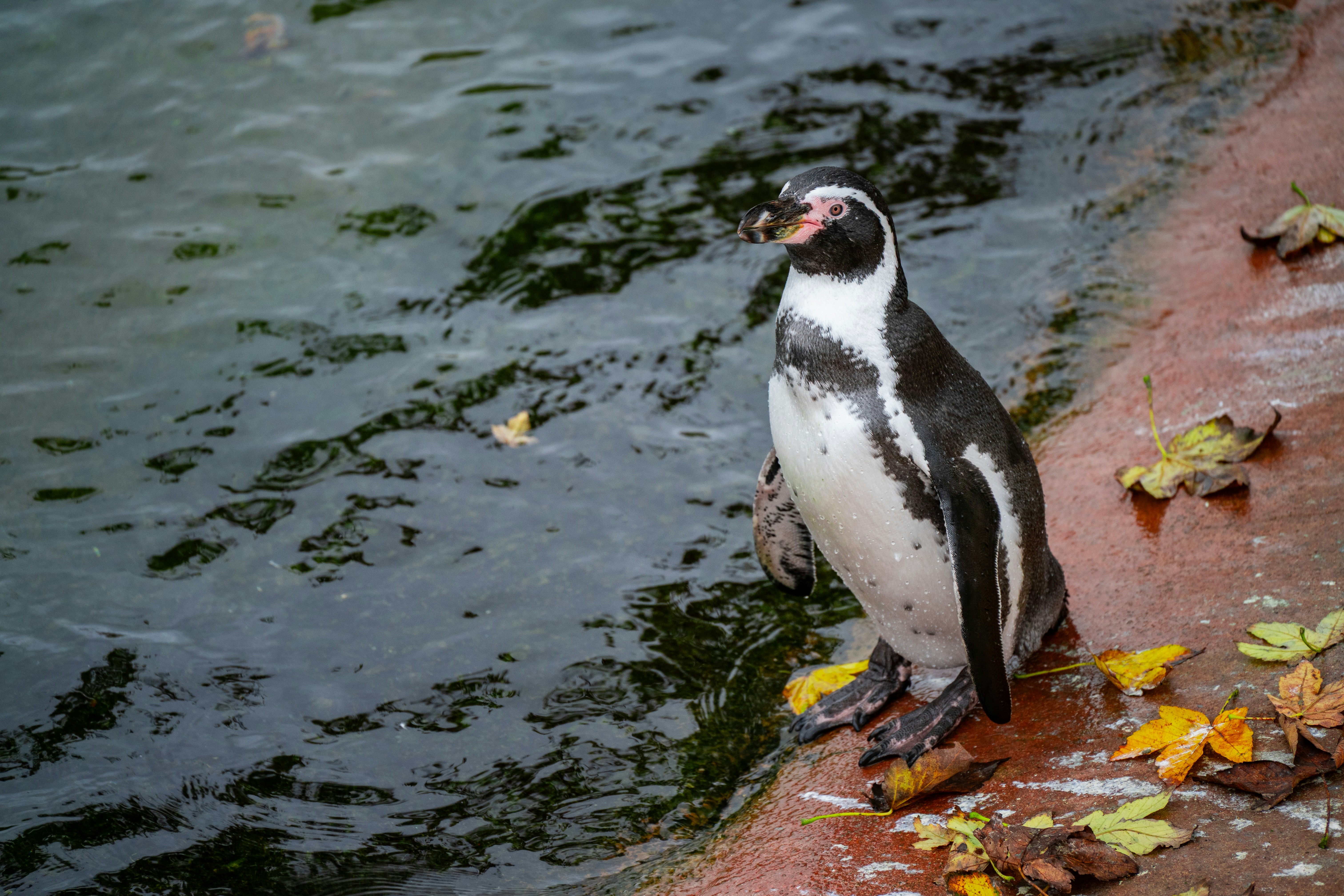 Photo by justmejuliee