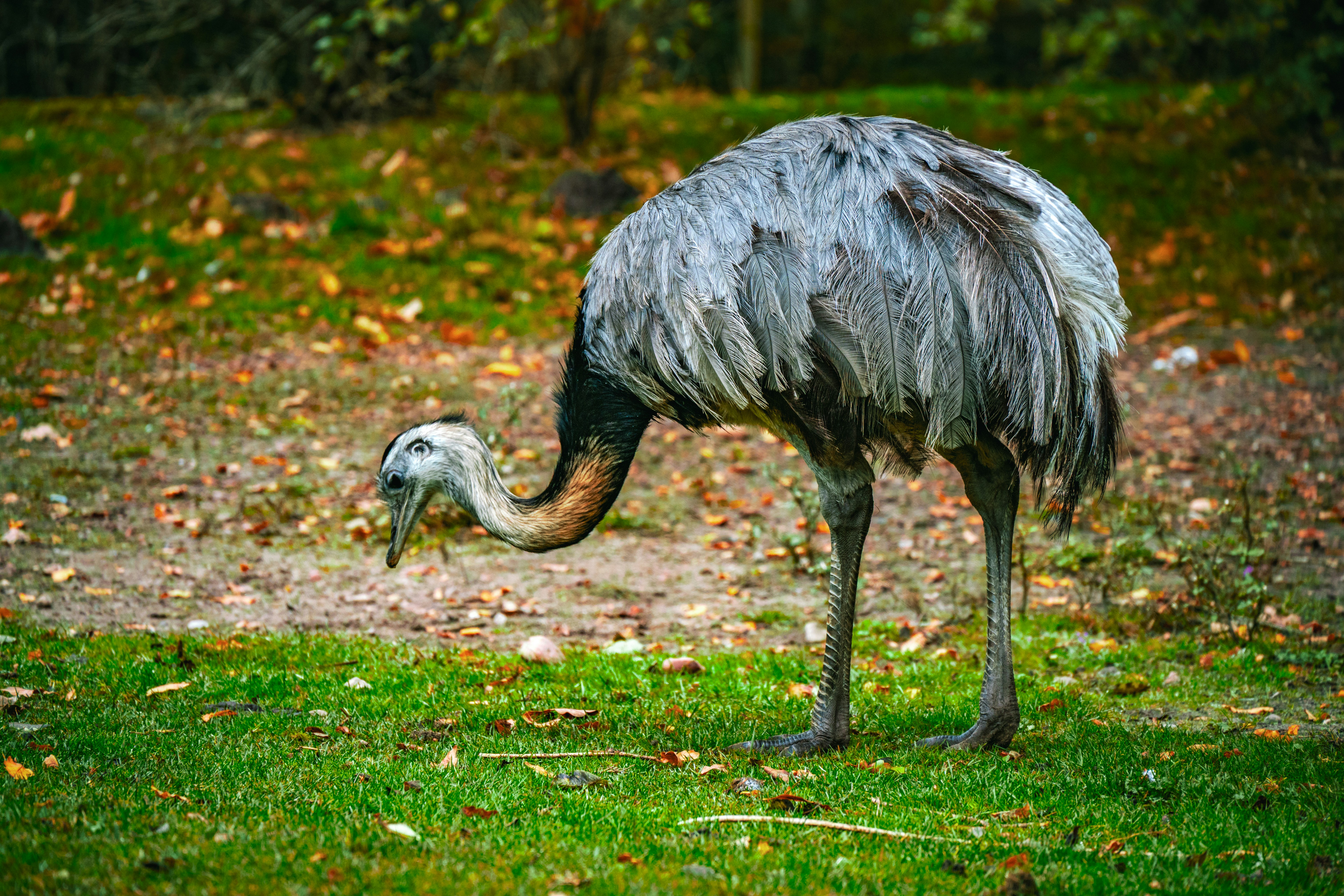 Photo by justmejuliee