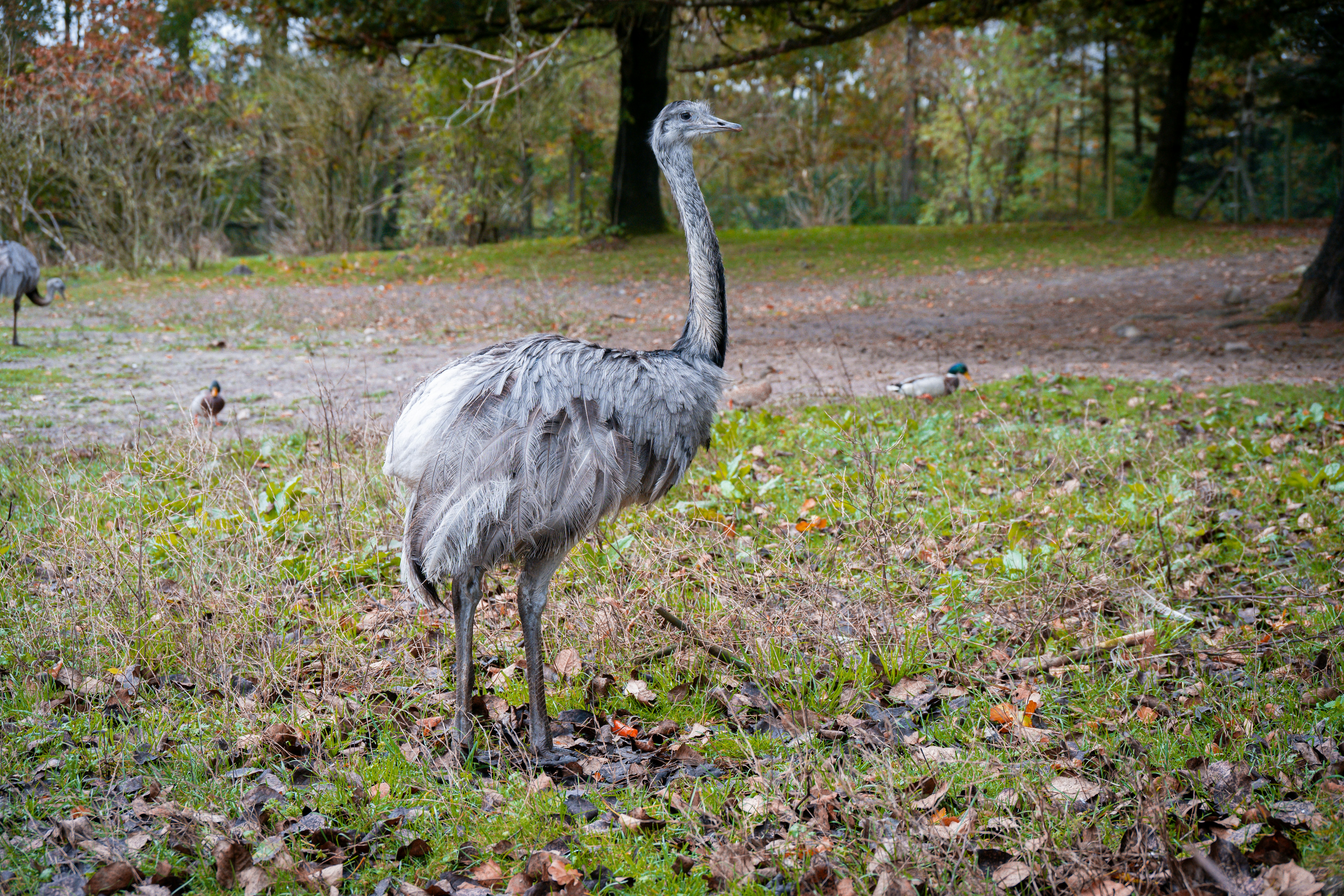 Photo by justmejuliee