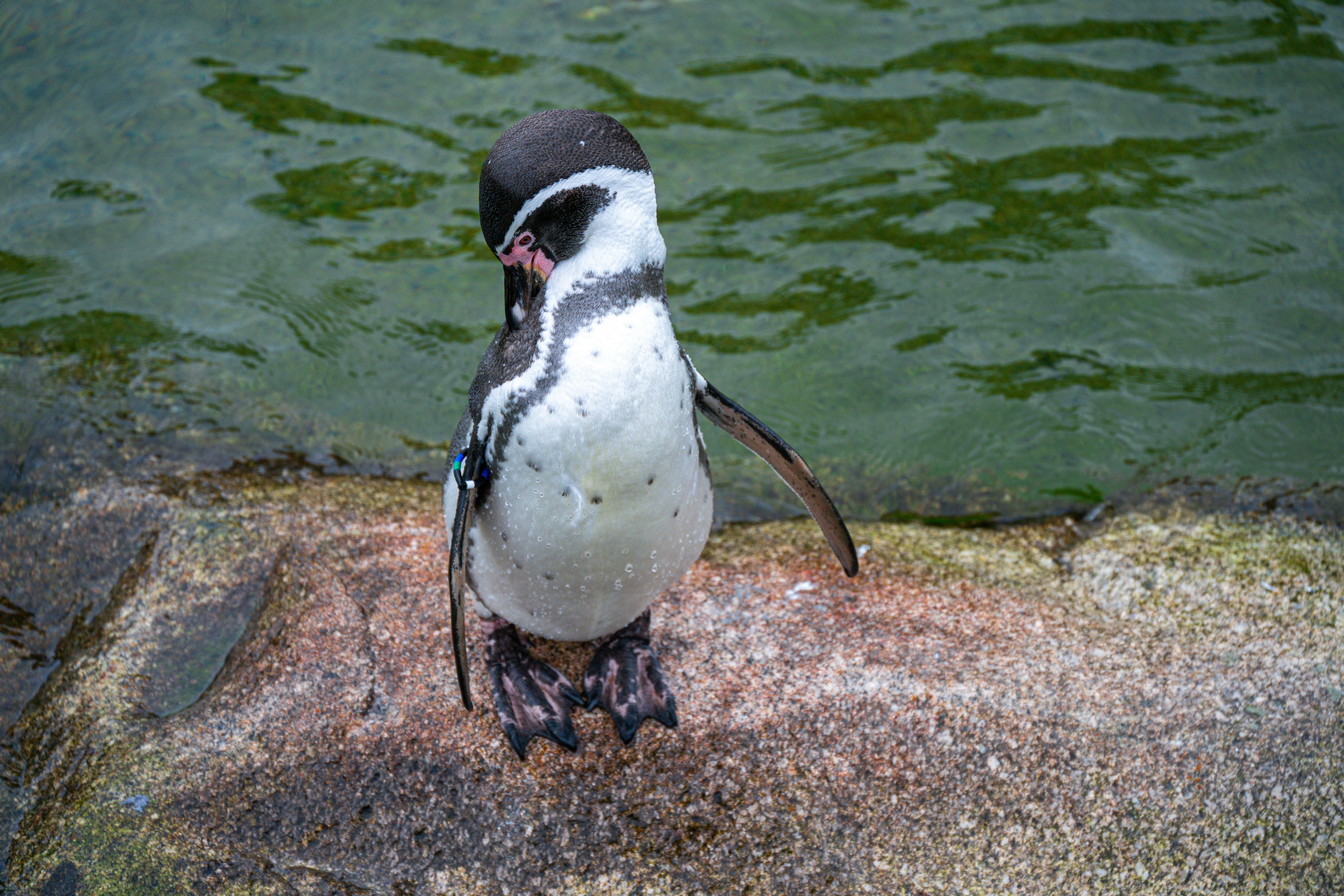 Photo by justmejuliee