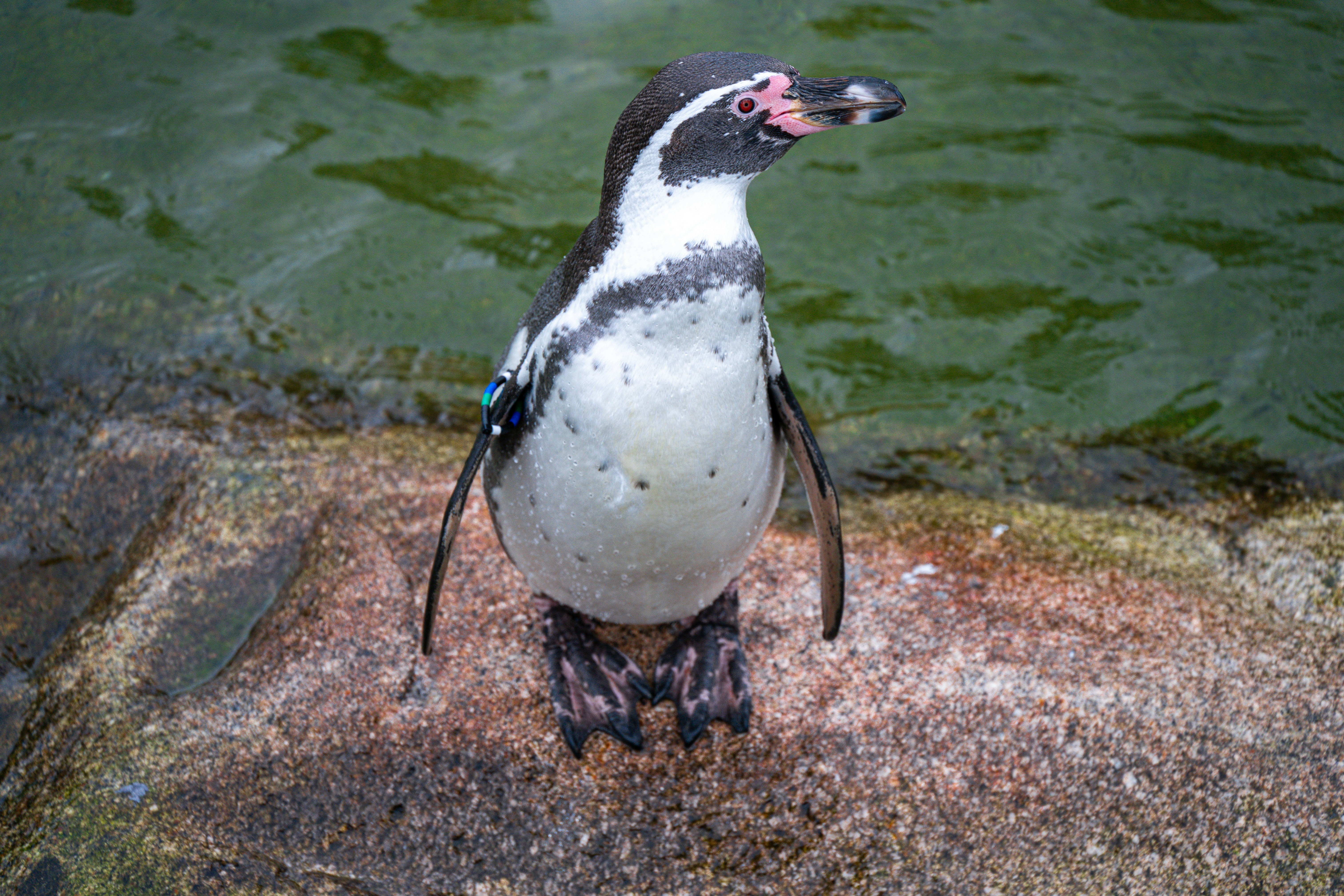 Photo by justmejuliee