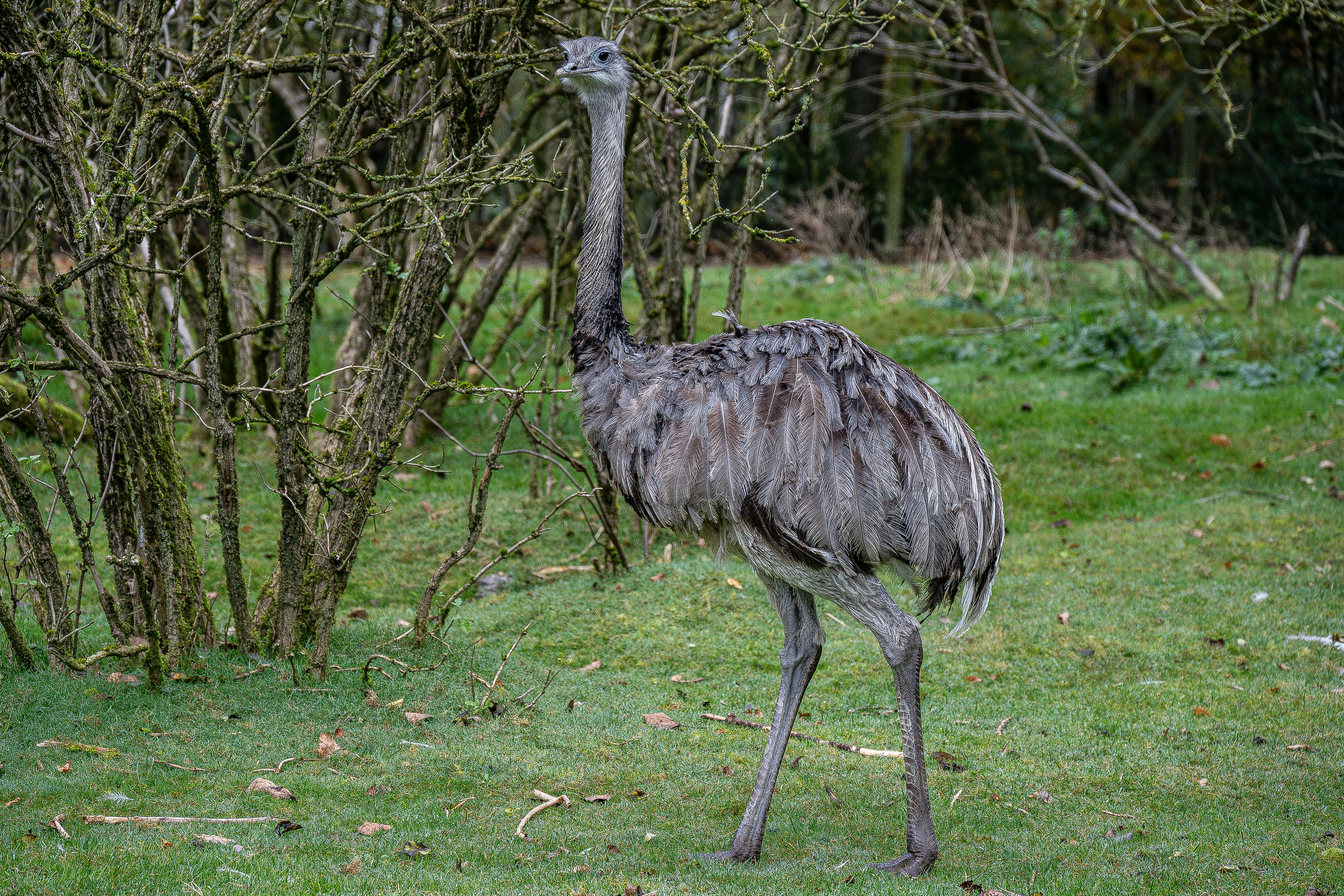 Photo by justmejuliee