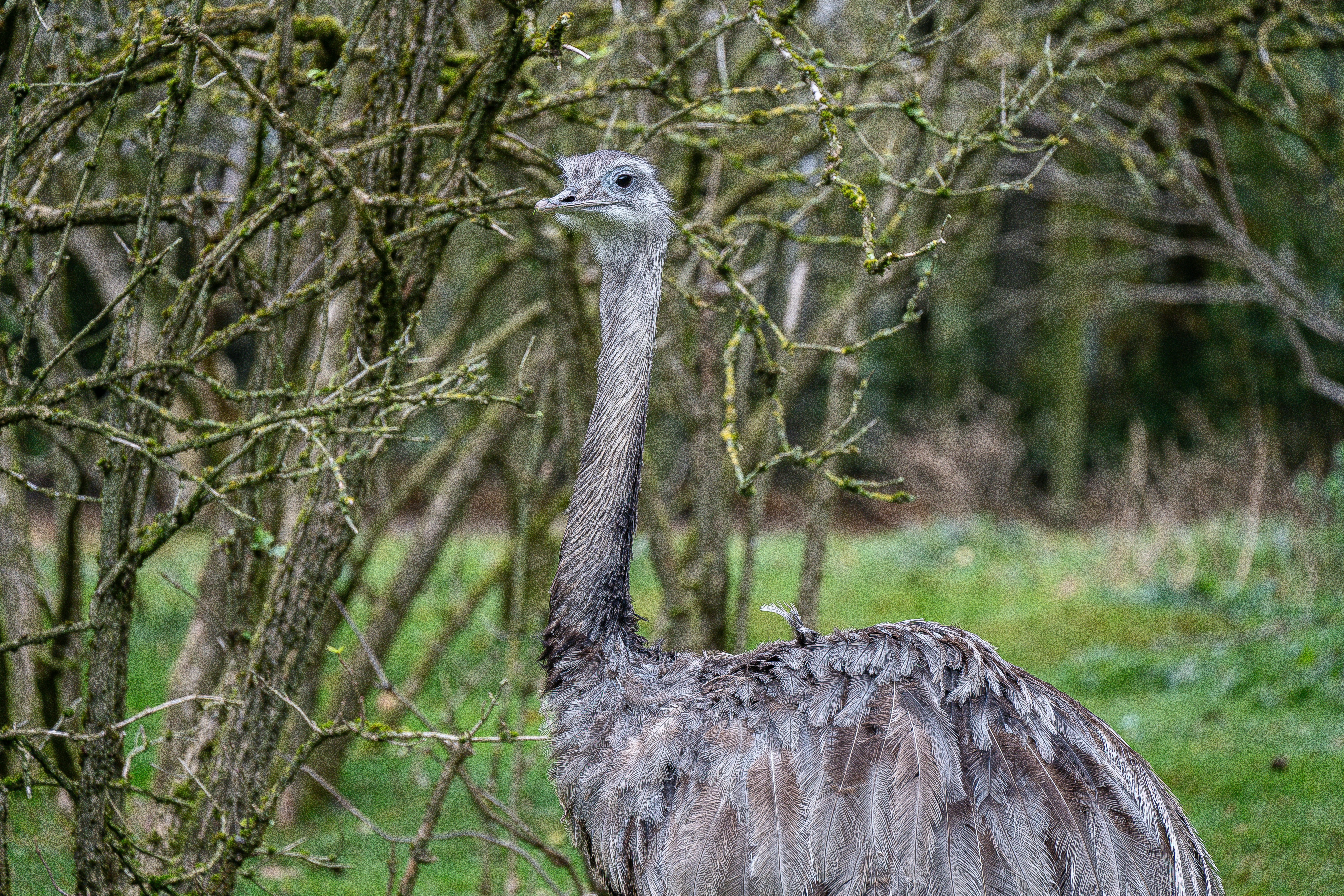 Photo by justmejuliee