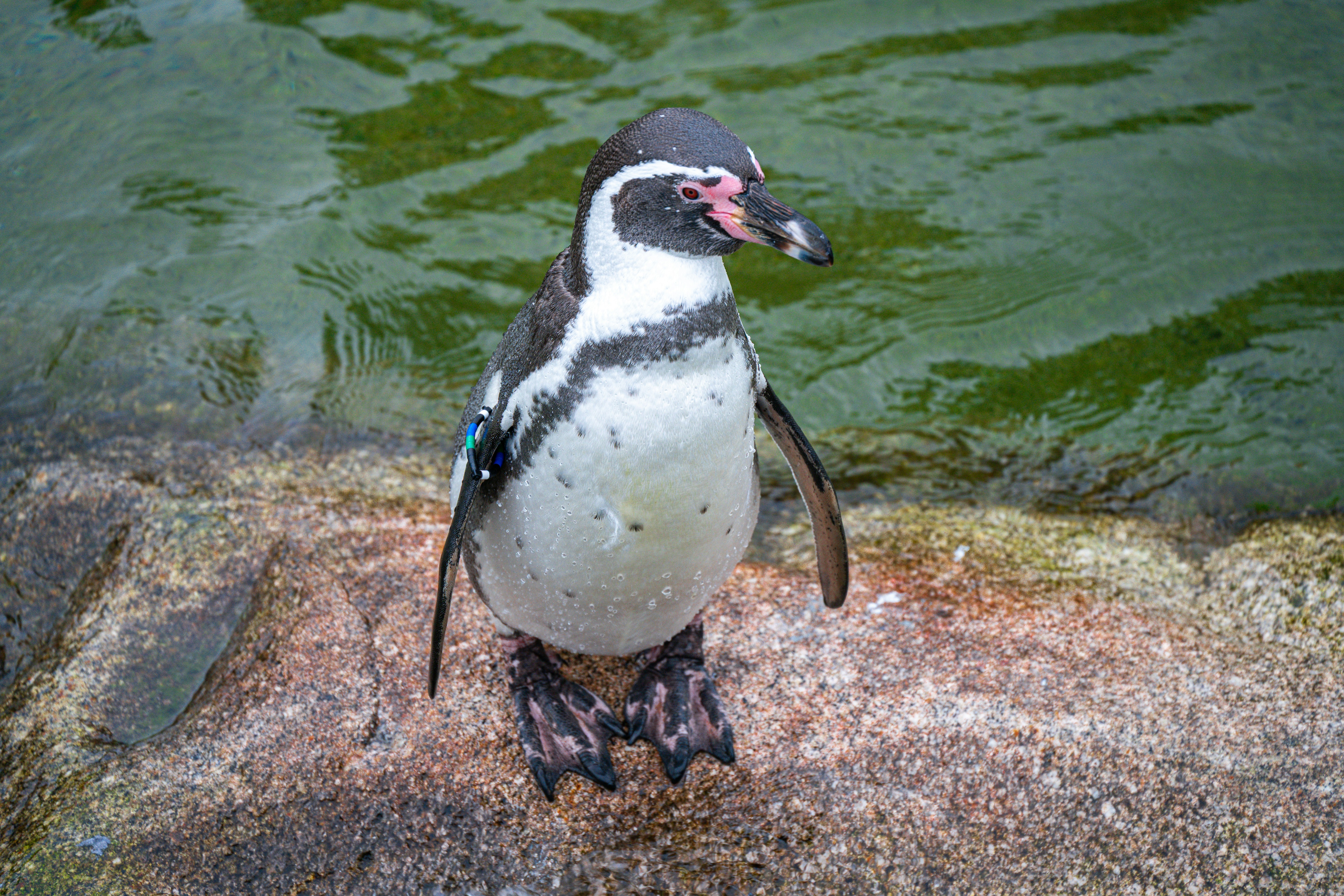 Photo by justmejuliee