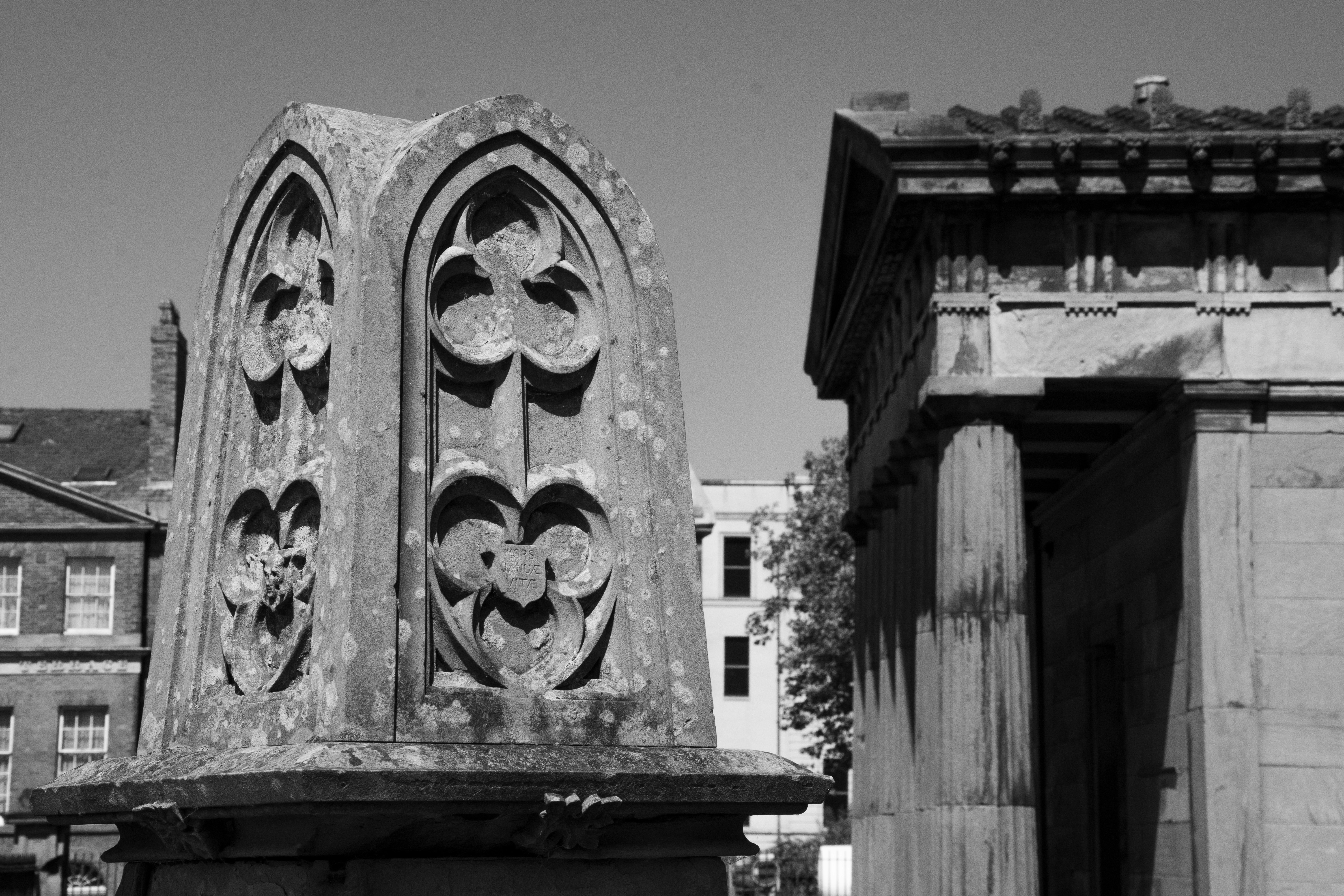 Photo by alexdavidphotos