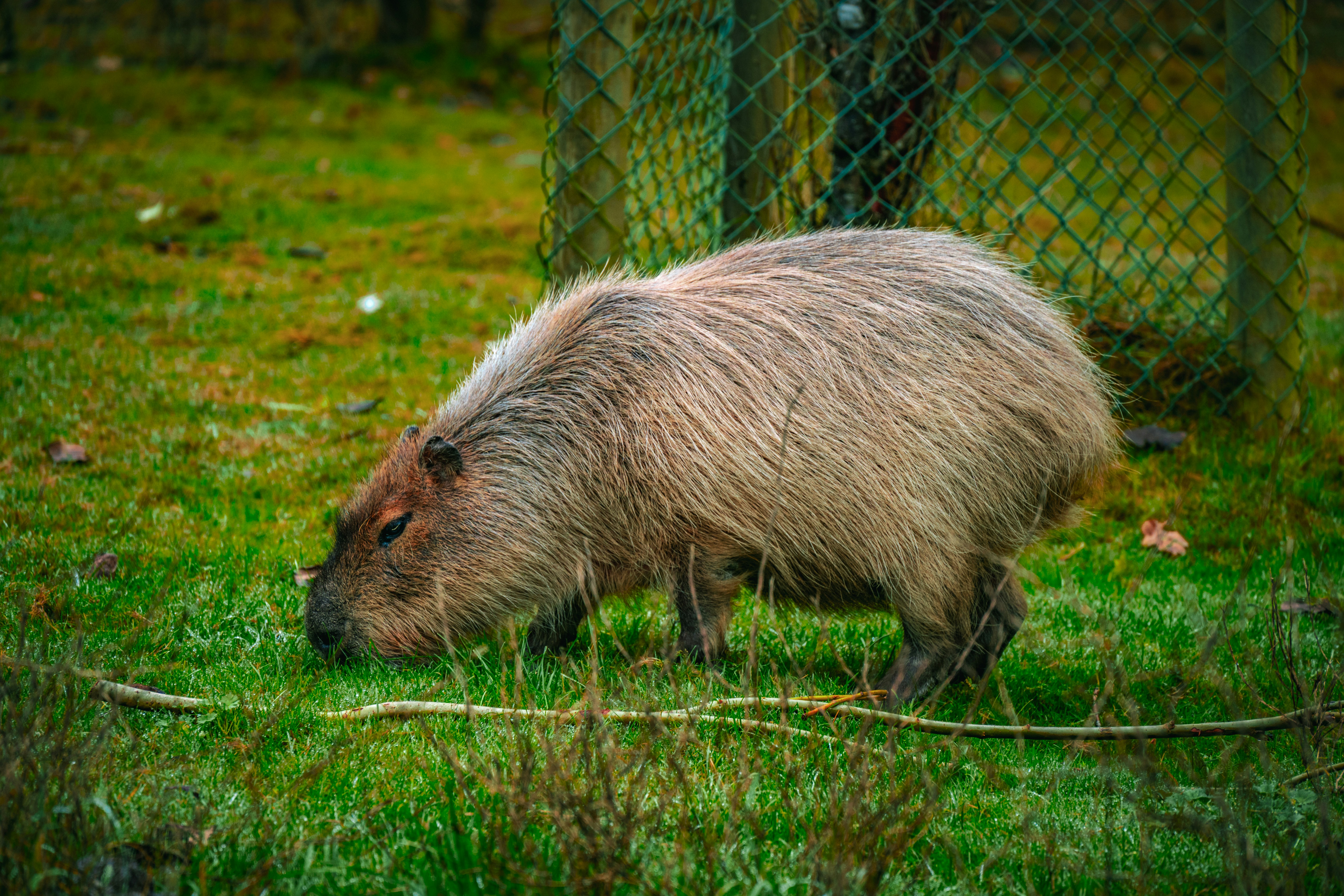 Photo by justmejuliee