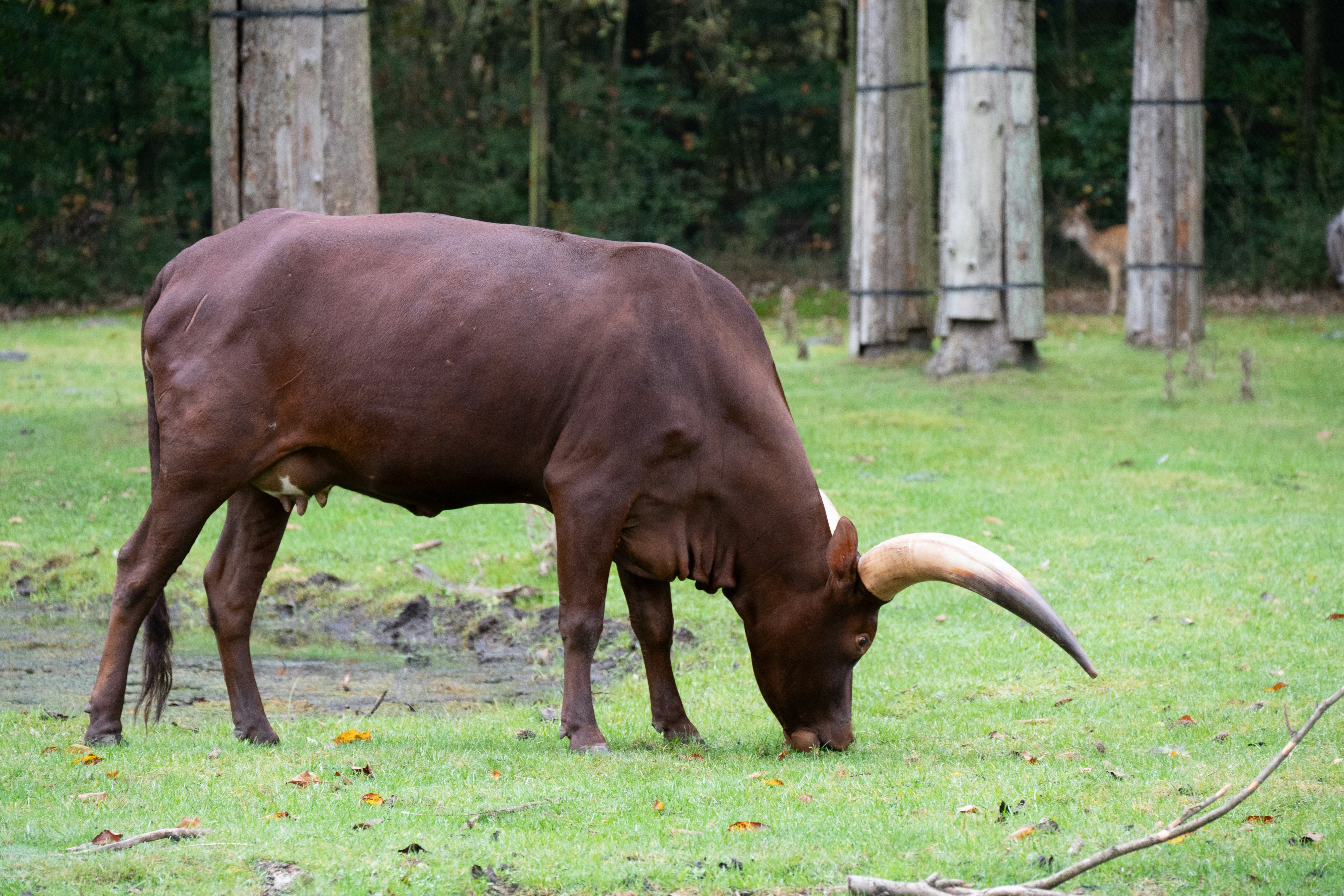 Photo by justmejuliee