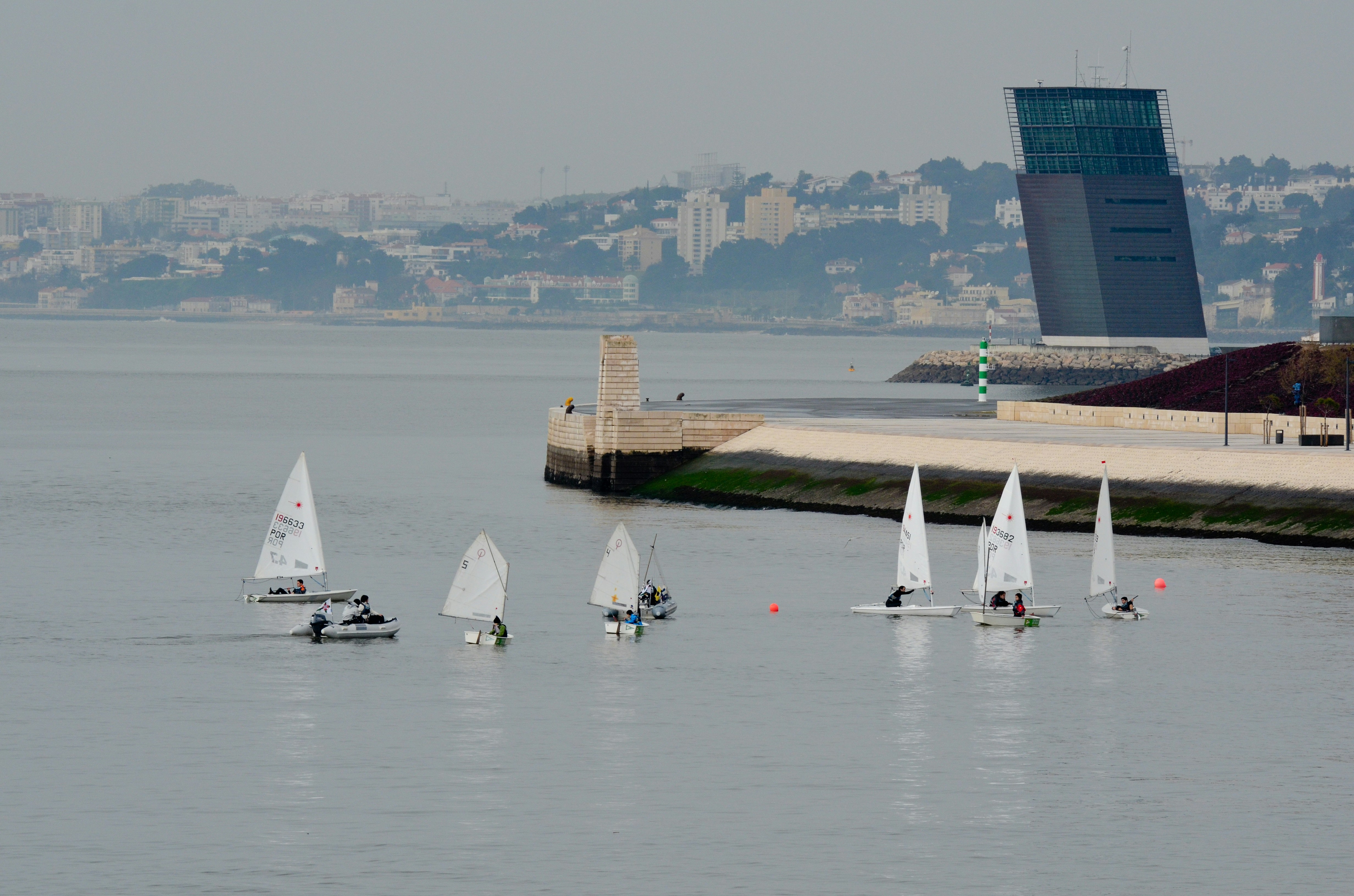 현대식 건물 근처의 잔잔한 물 위에서 범선이 경주합니다.